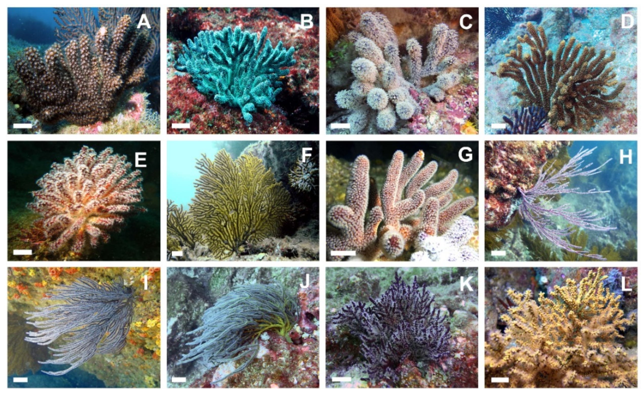 Oceans 03 00016 g002 Oceans 03 00016 g002