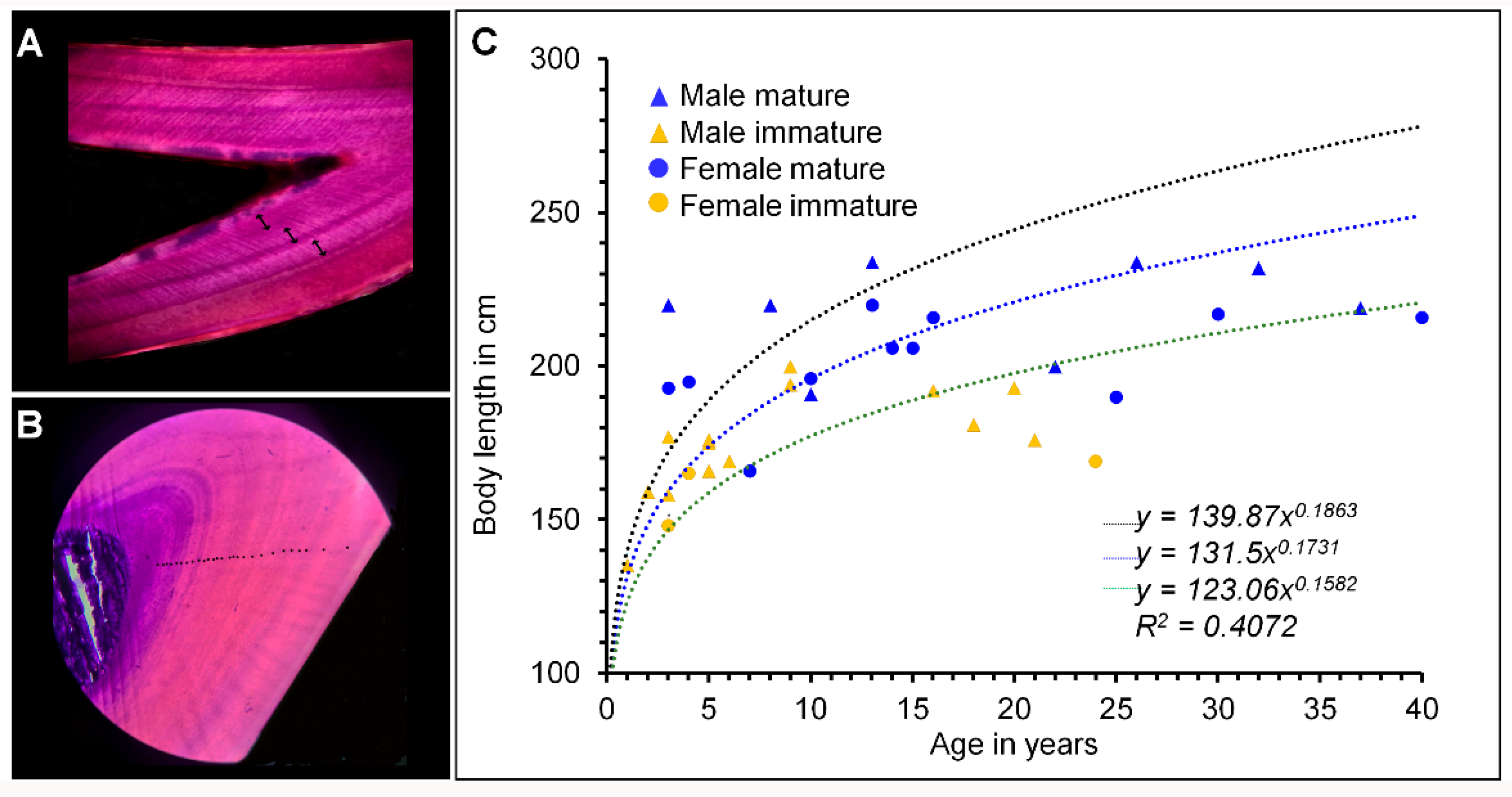 Oceans 03 00033 g001