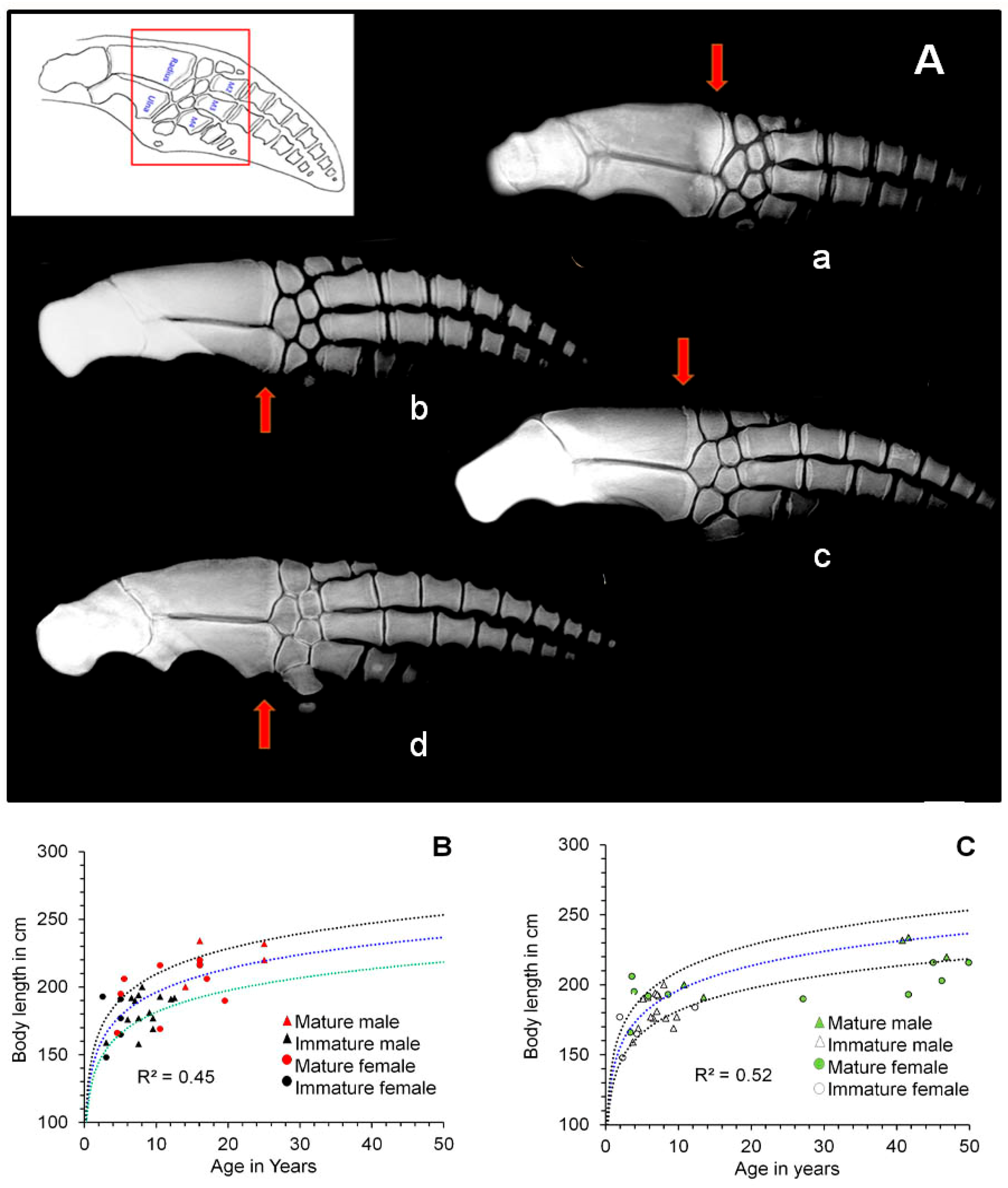 Oceans 03 00033 g002