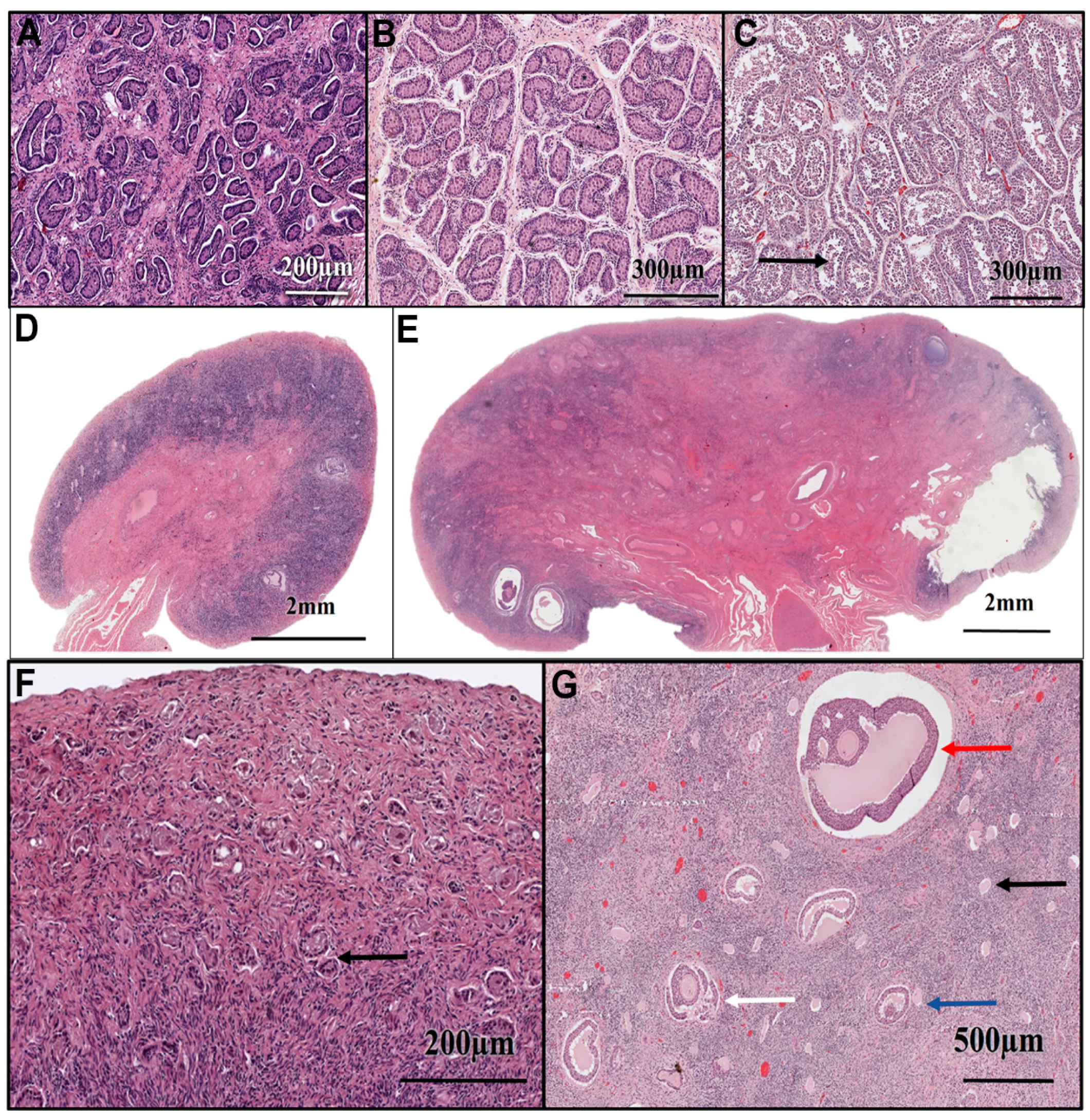 Oceans 03 00033 g003