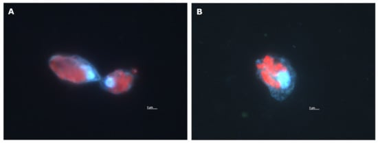 Oceans 04 00011 g0a1