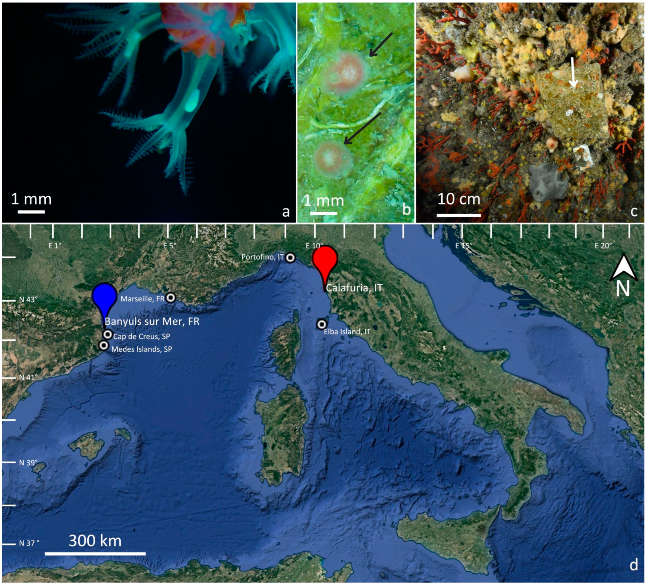 Oceans 04 00021 g001