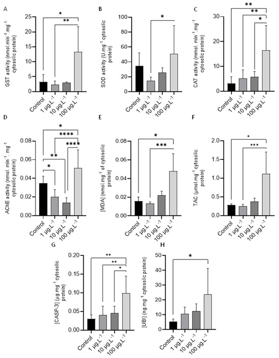 Oceans 05 00011 g001