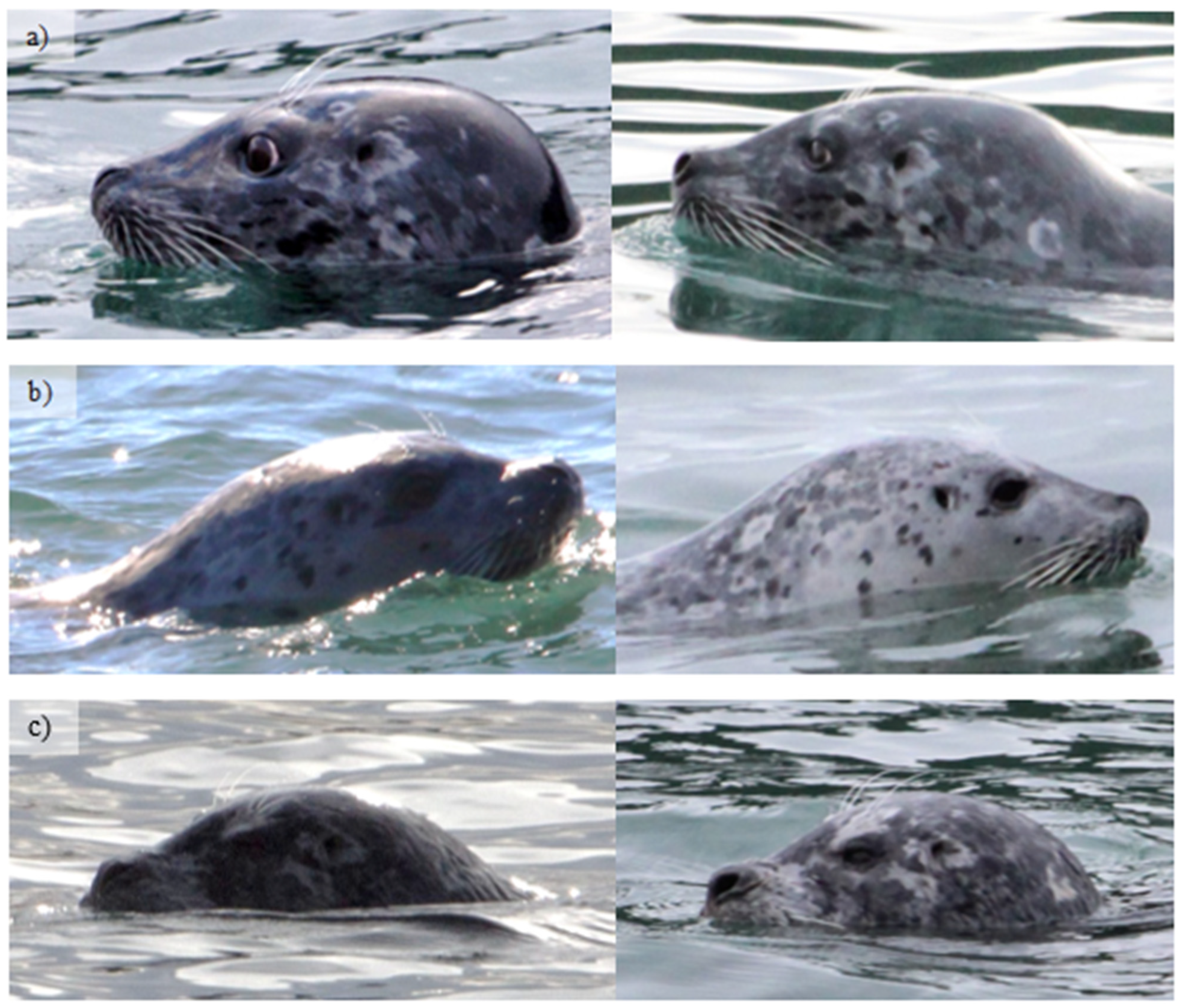 Oceans 05 00022 g002