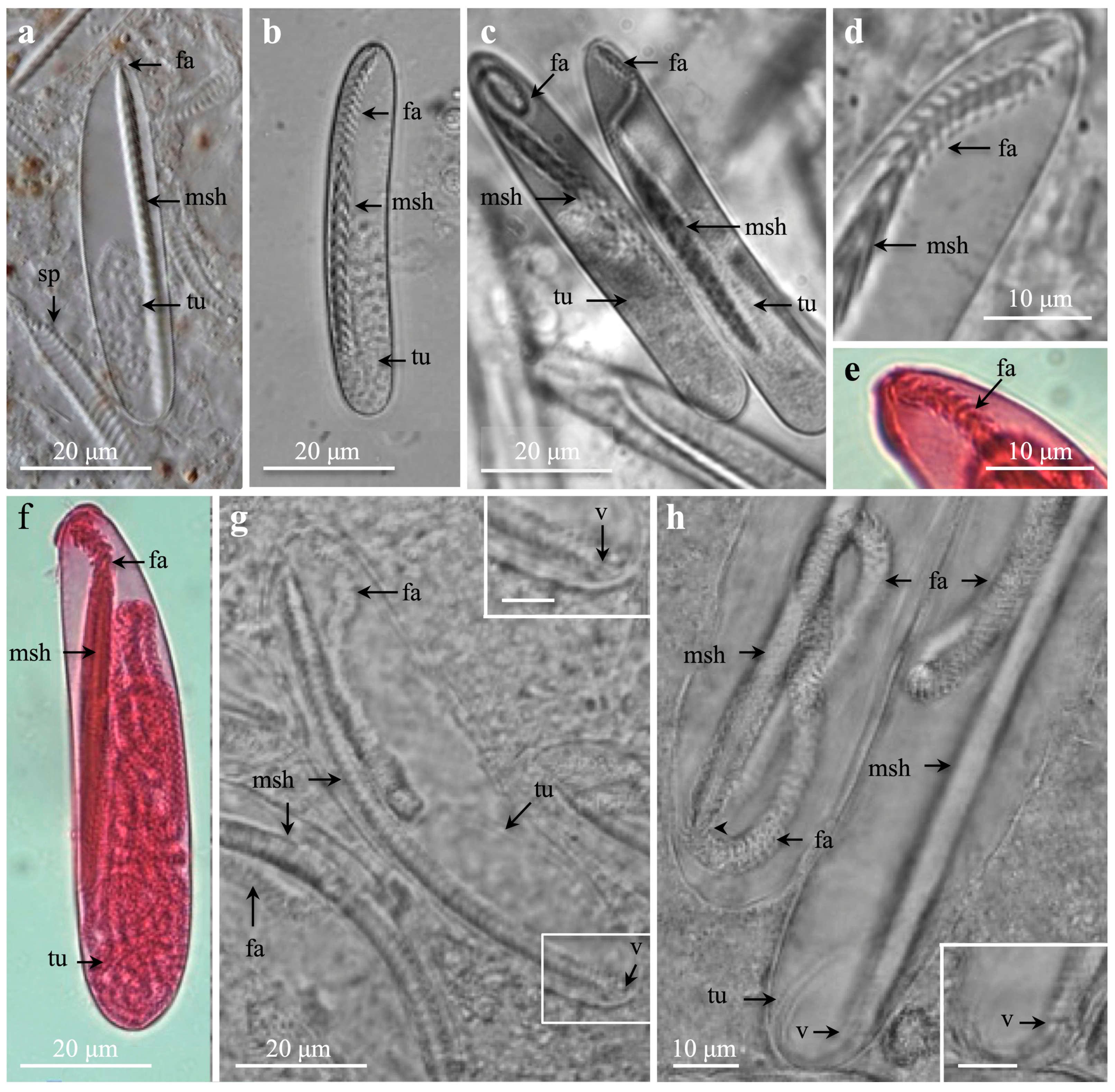 Oceans 05 00029 g003 Oceans 05 00029 g003