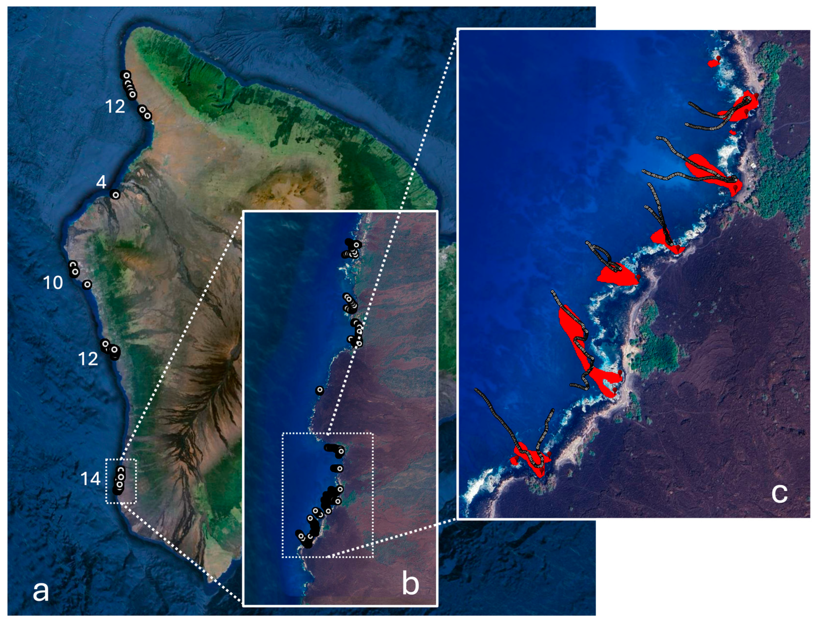 Oceans 05 00031 g004