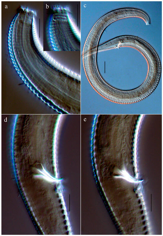 Oceans 06 00082 g002