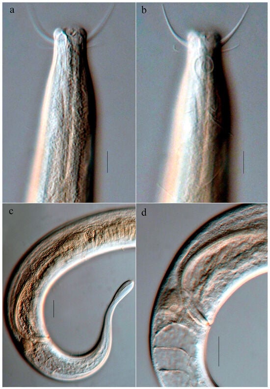 Oceans 06 00082 g004