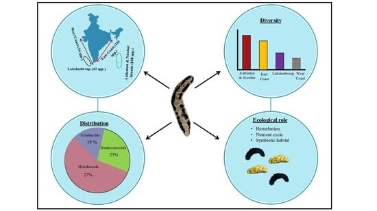 Map showing the Location of the West Coast, the East Coast, the Andaman and Nicobar Islands, and the Lakshadweep in India. Stars indicate the coastal cities of India.