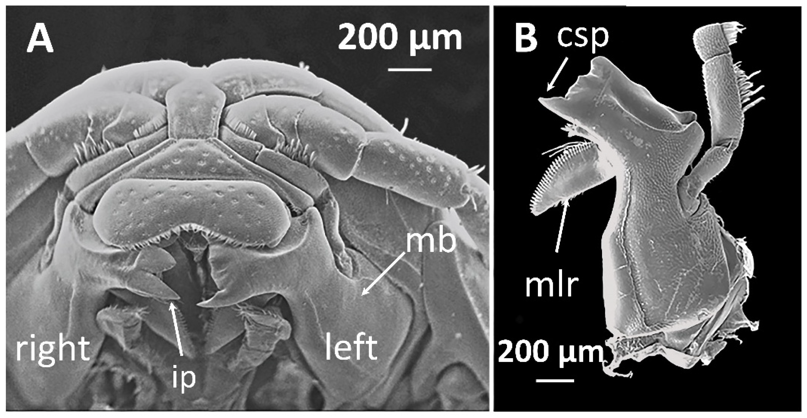 Oceans 07 00020 g002