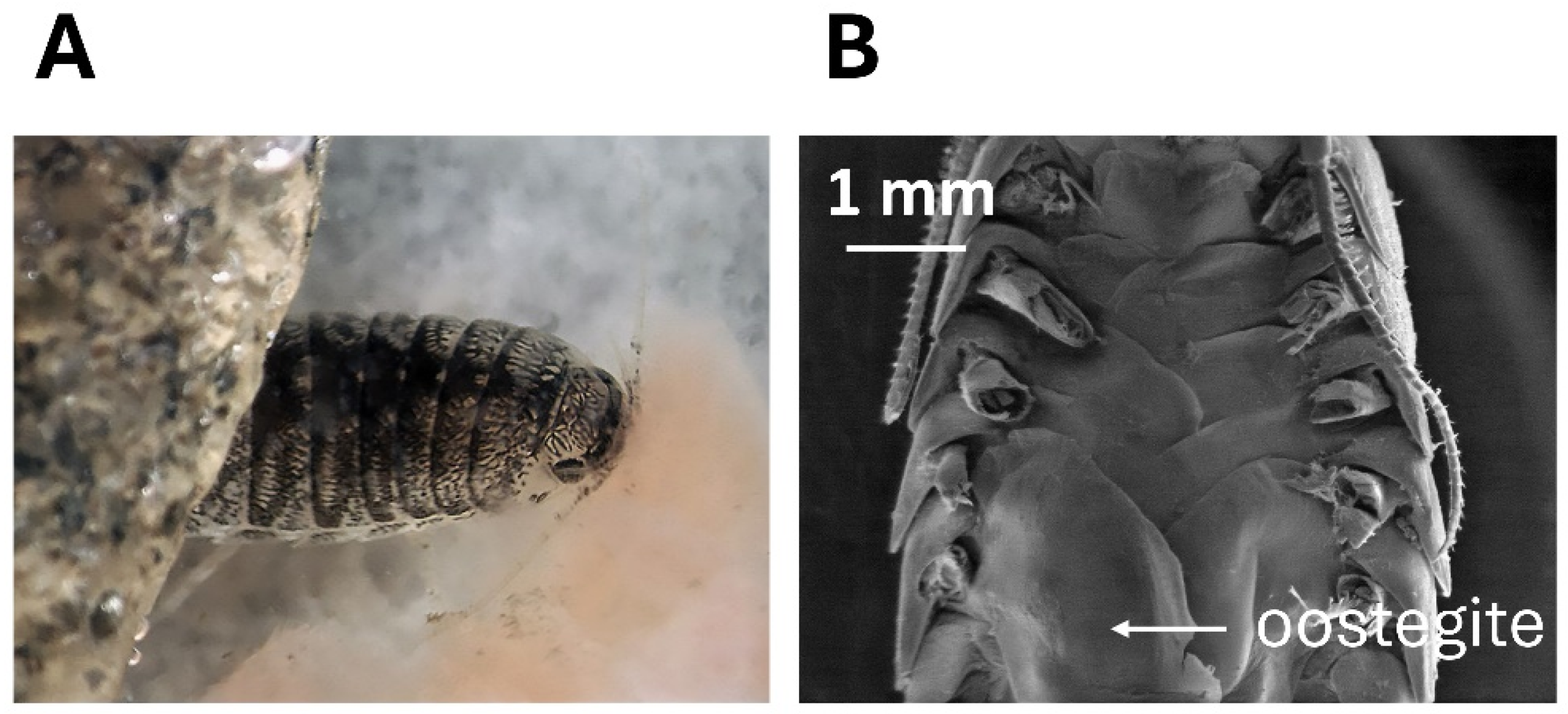 Oceans 07 00020 g003