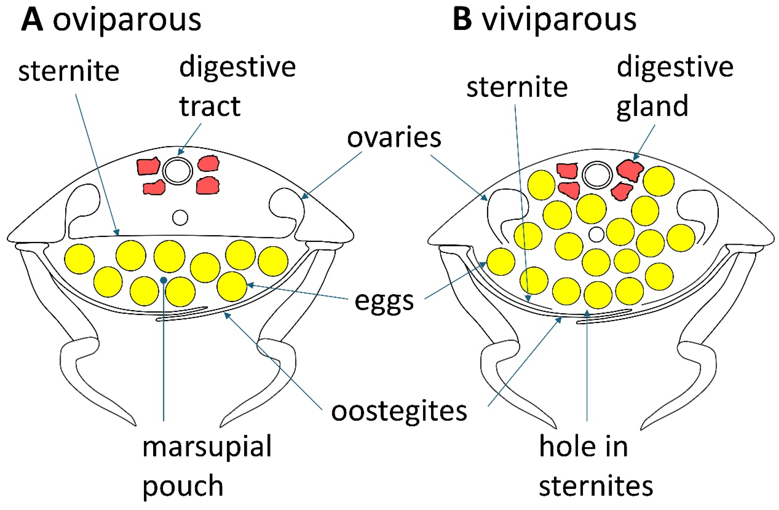 Oceans 07 00020 g004