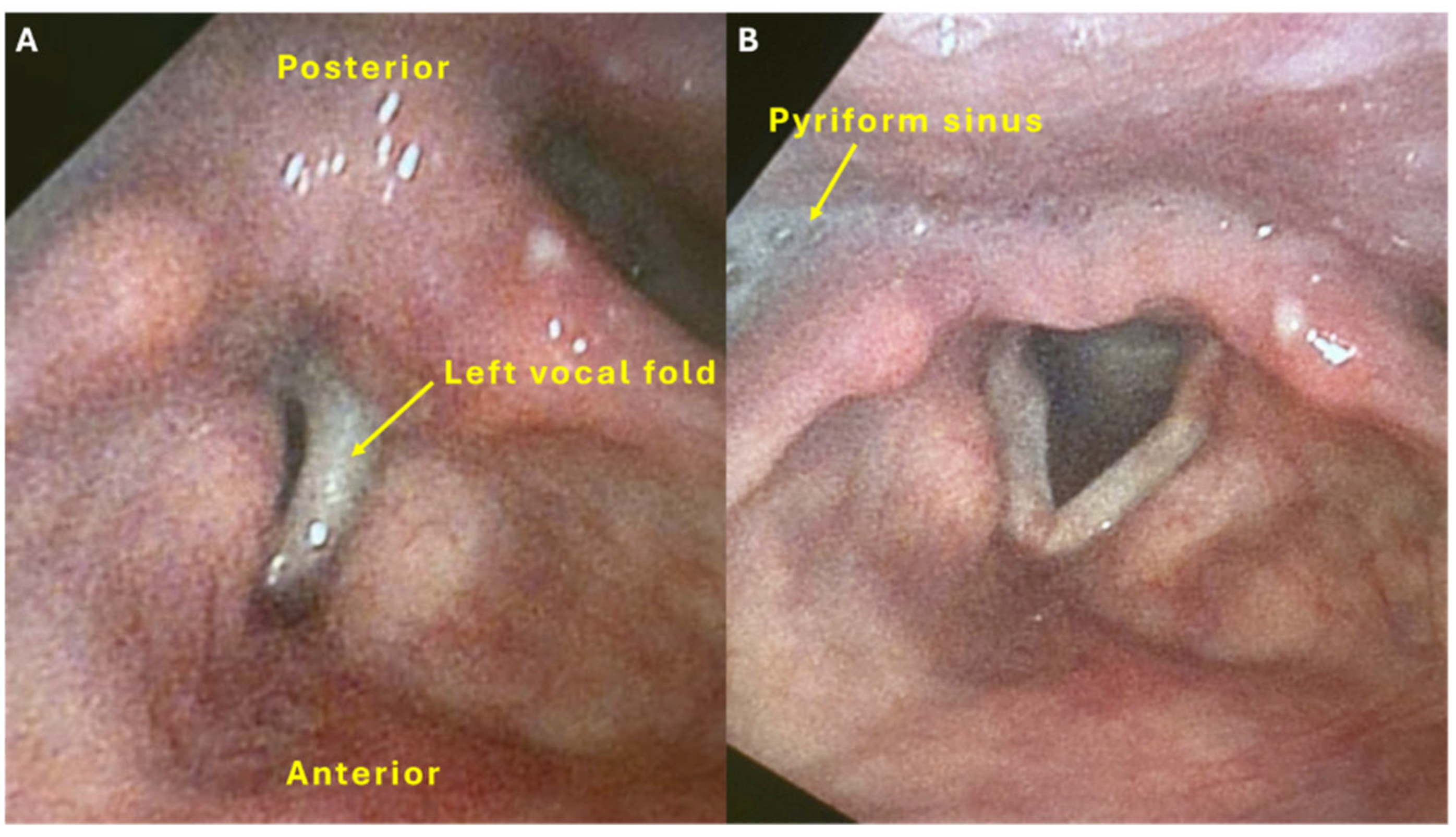 Ohbm 06 00020 g001 Ohbm 06 00020 g001