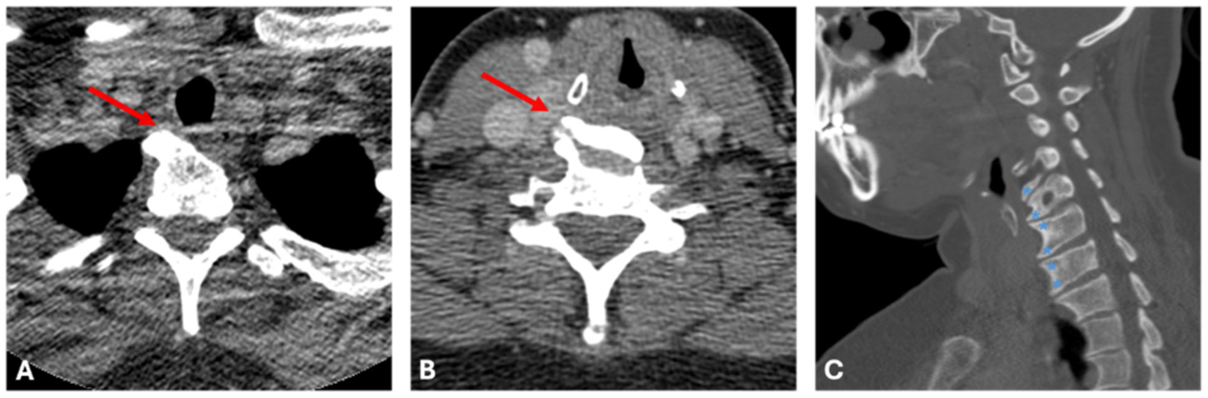Ohbm 06 00020 g004 Ohbm 06 00020 g004
