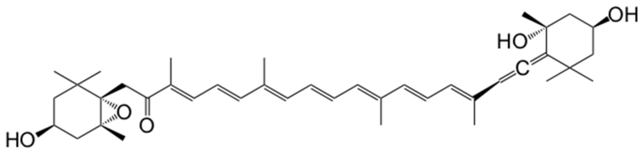 Onco 02 00010 g001 Onco 02 00010 g001