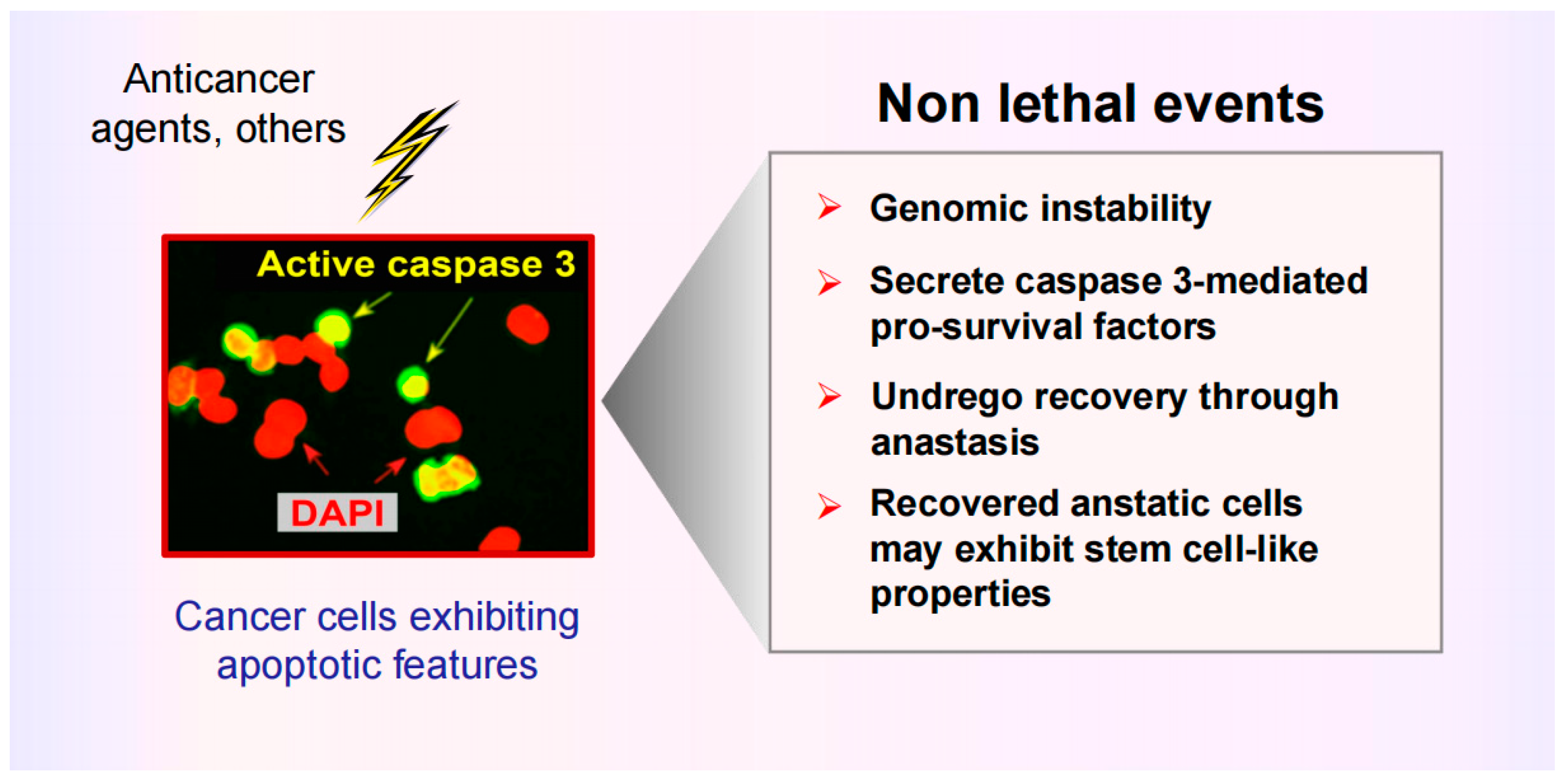 Onco 04 00003 g001 Onco 04 00003 g001