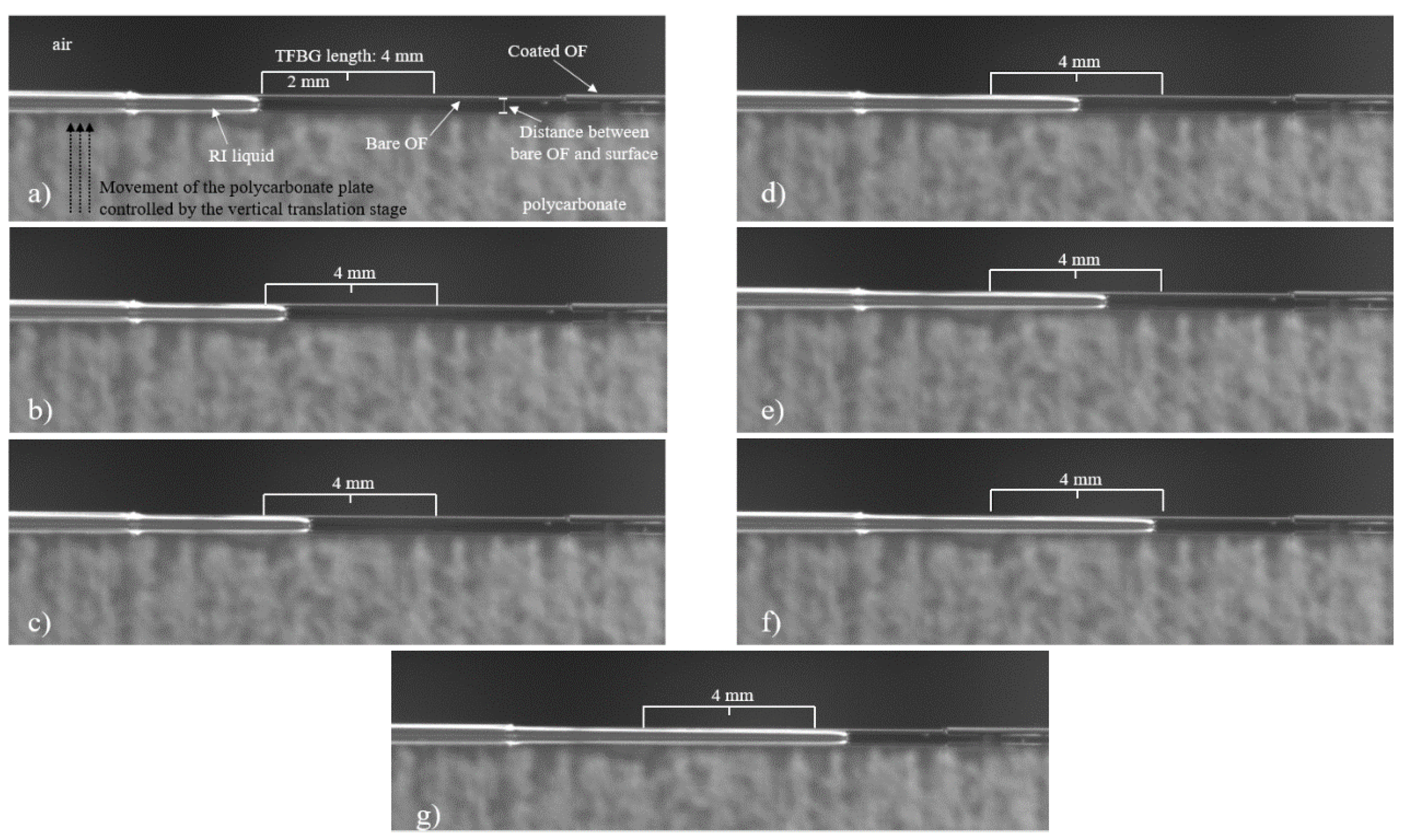 Optics 02 00012 g017