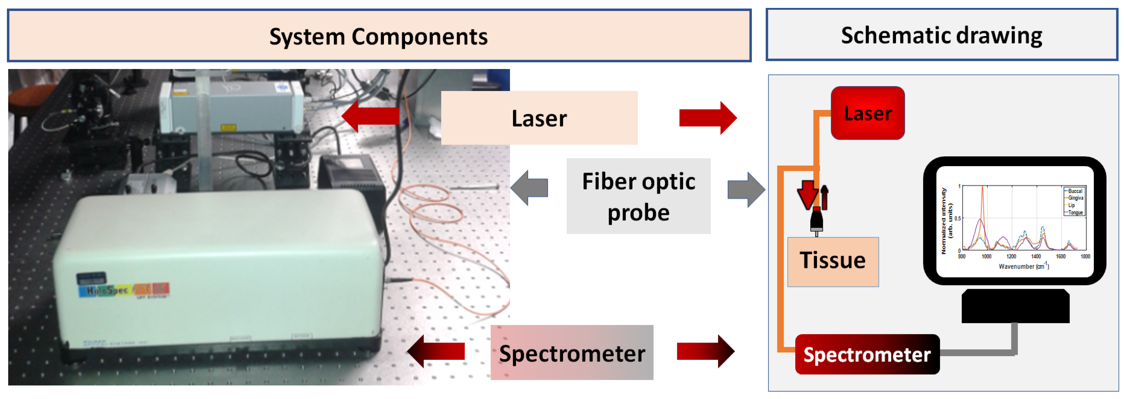Optics 02 00013 g001