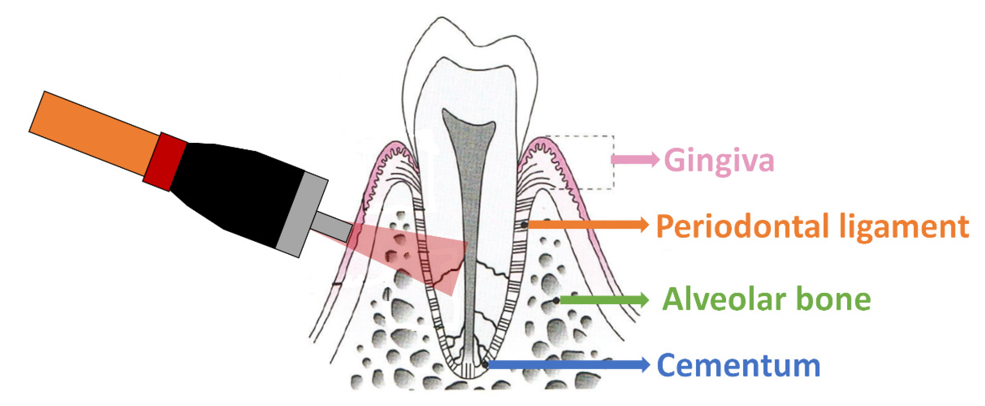 Optics 02 00013 g002