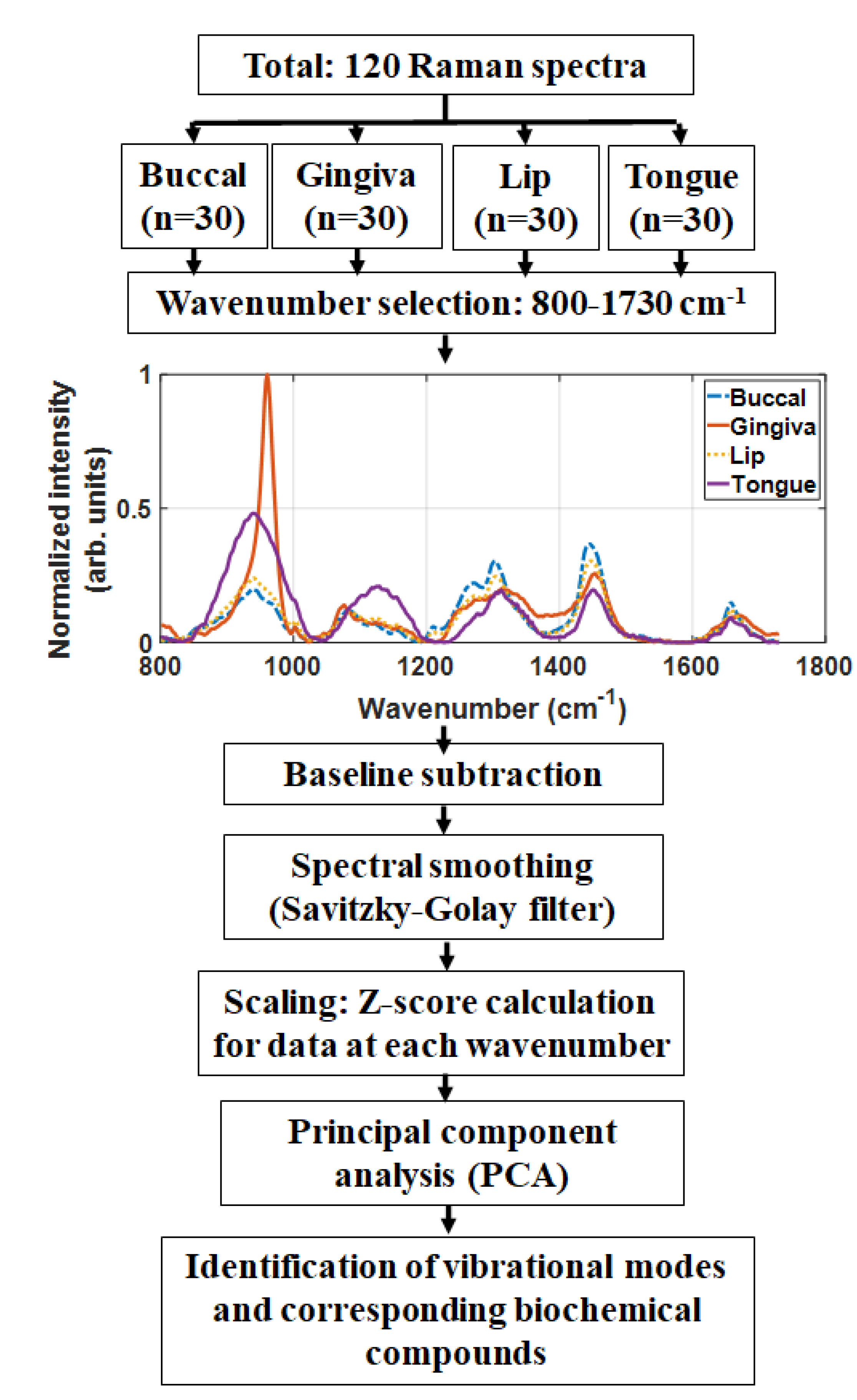 Optics 02 00013 g003