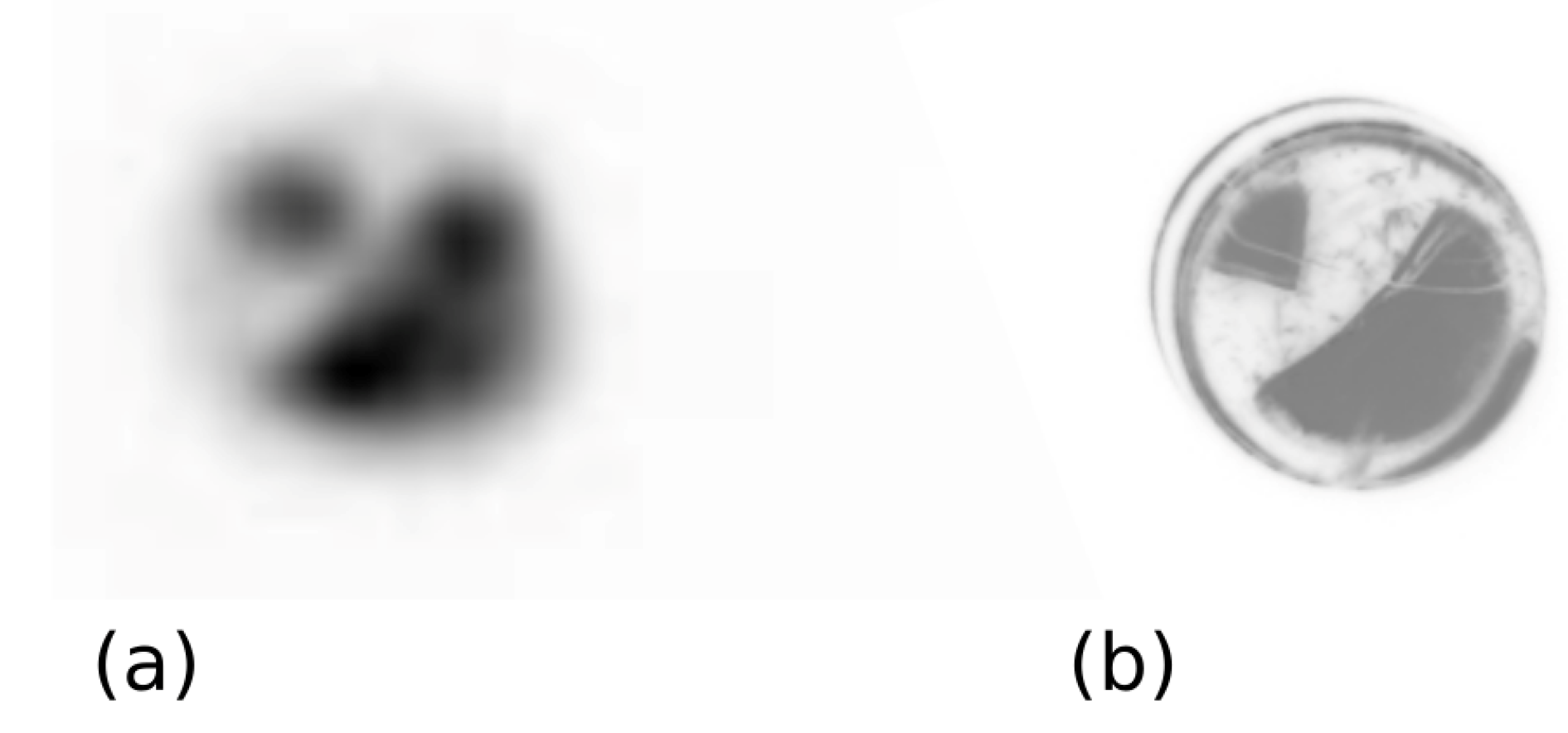 Optics 03 00010 g007