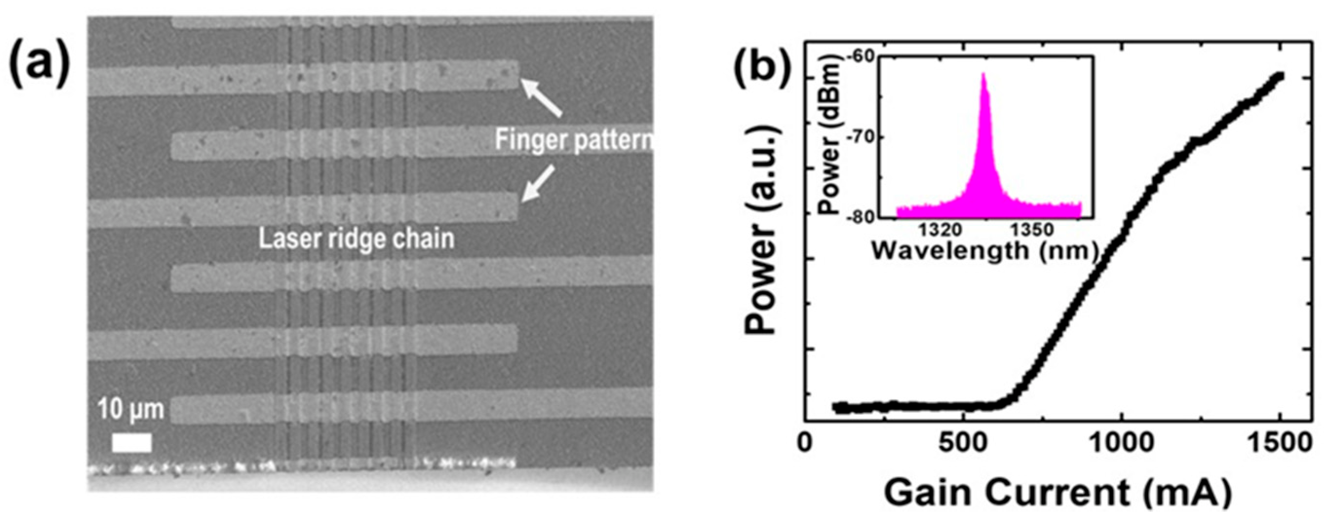 Optics 03 00013 g005