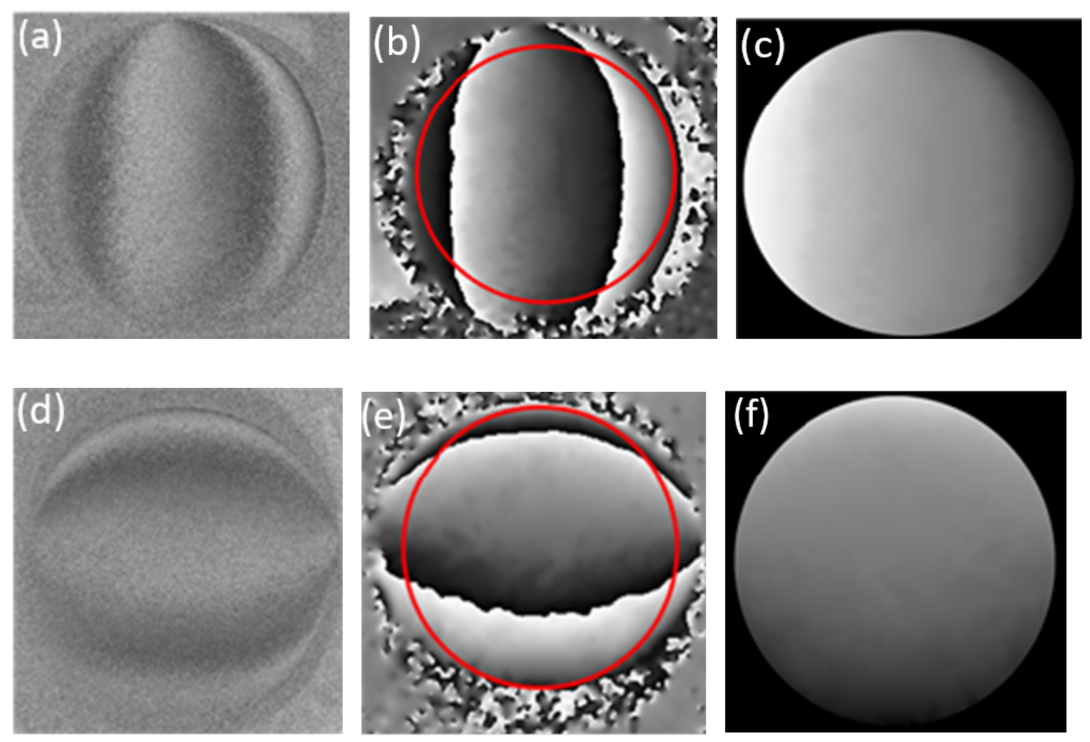 Optics 03 00031 g006