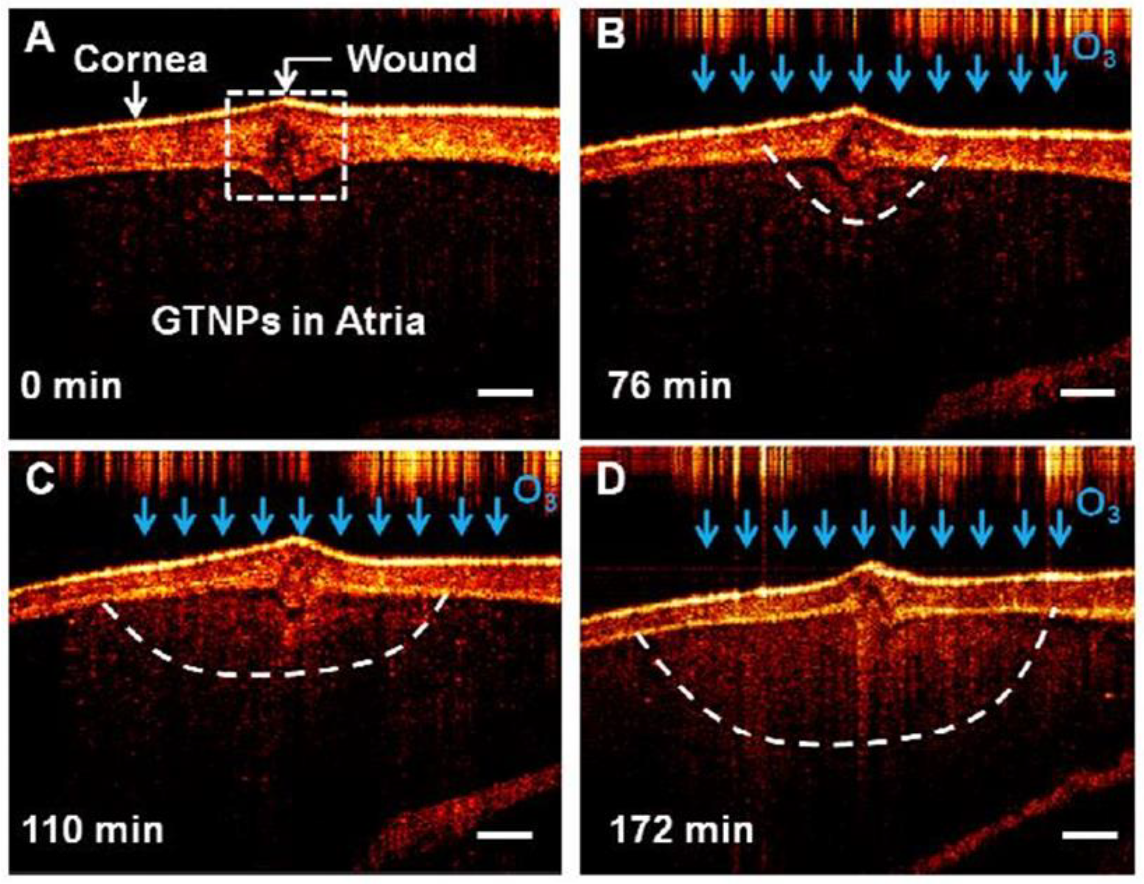 Optics 04 00007 g003