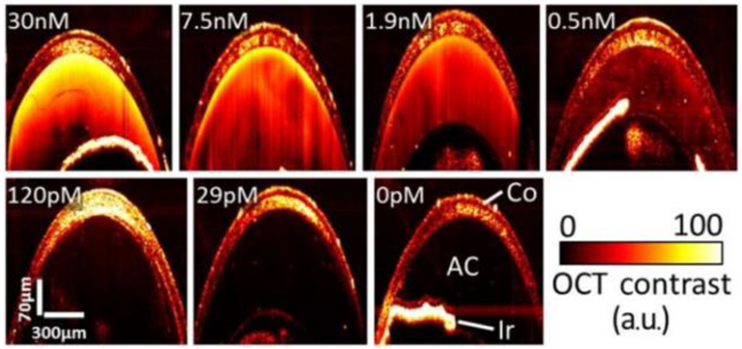 Optics 04 00007 g004