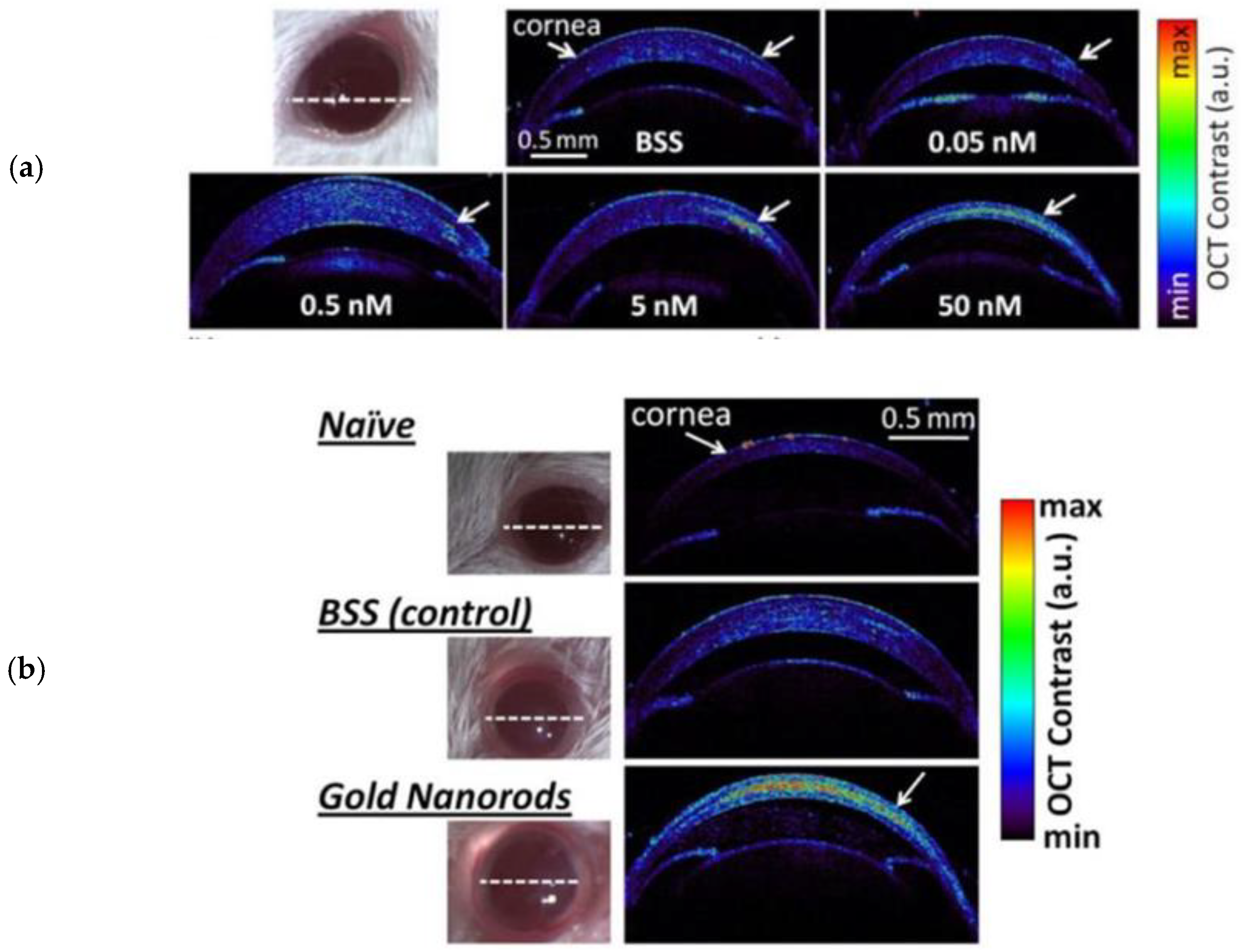 Optics 04 00007 g005