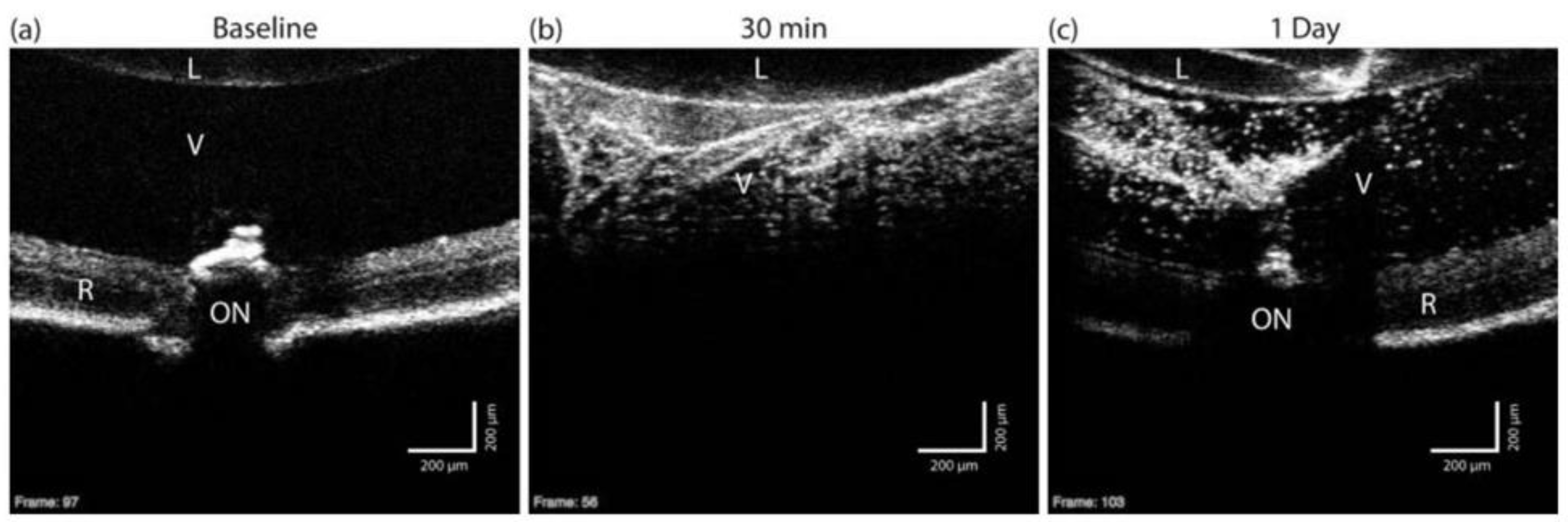 Optics 04 00007 g006