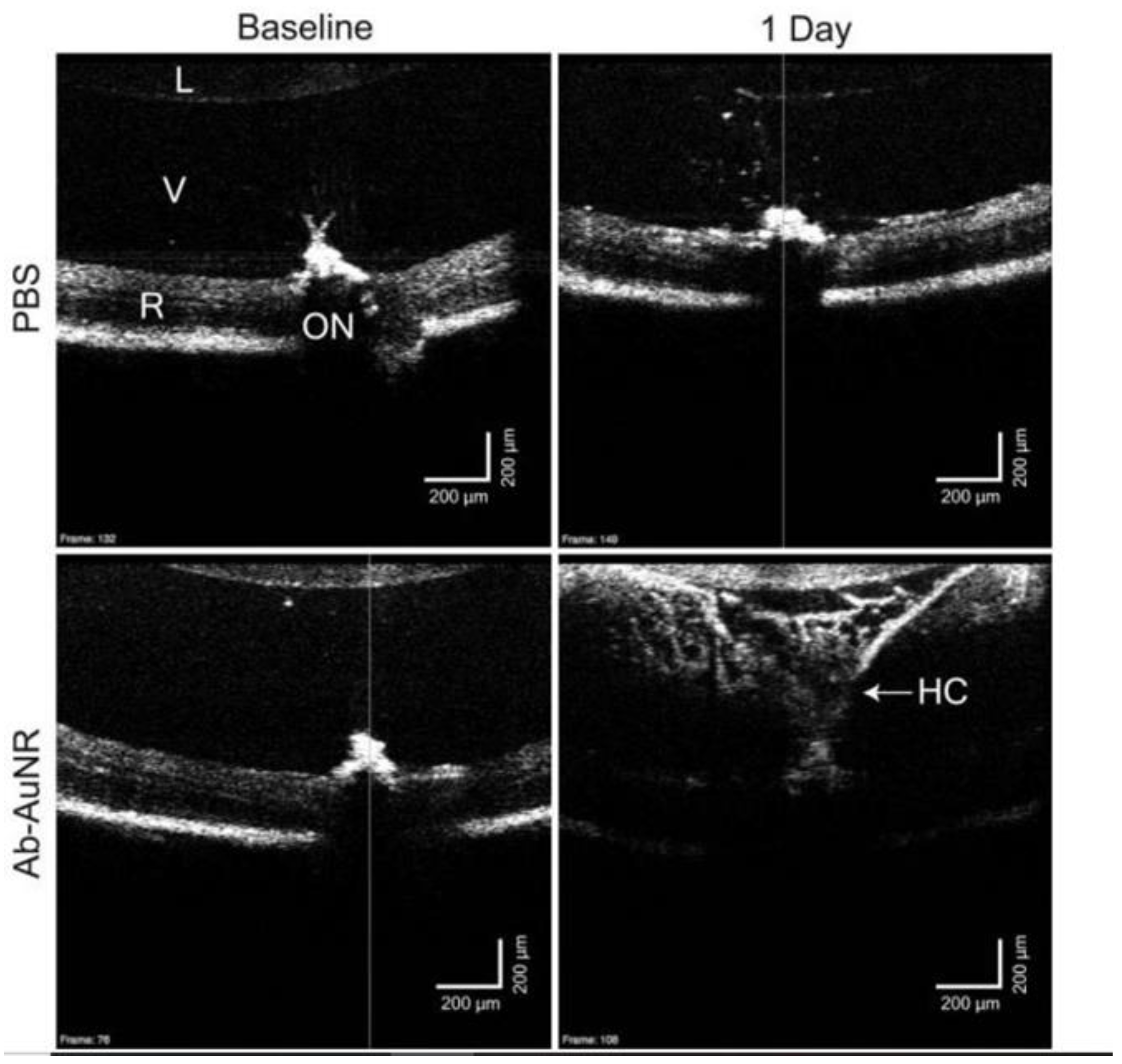Optics 04 00007 g007