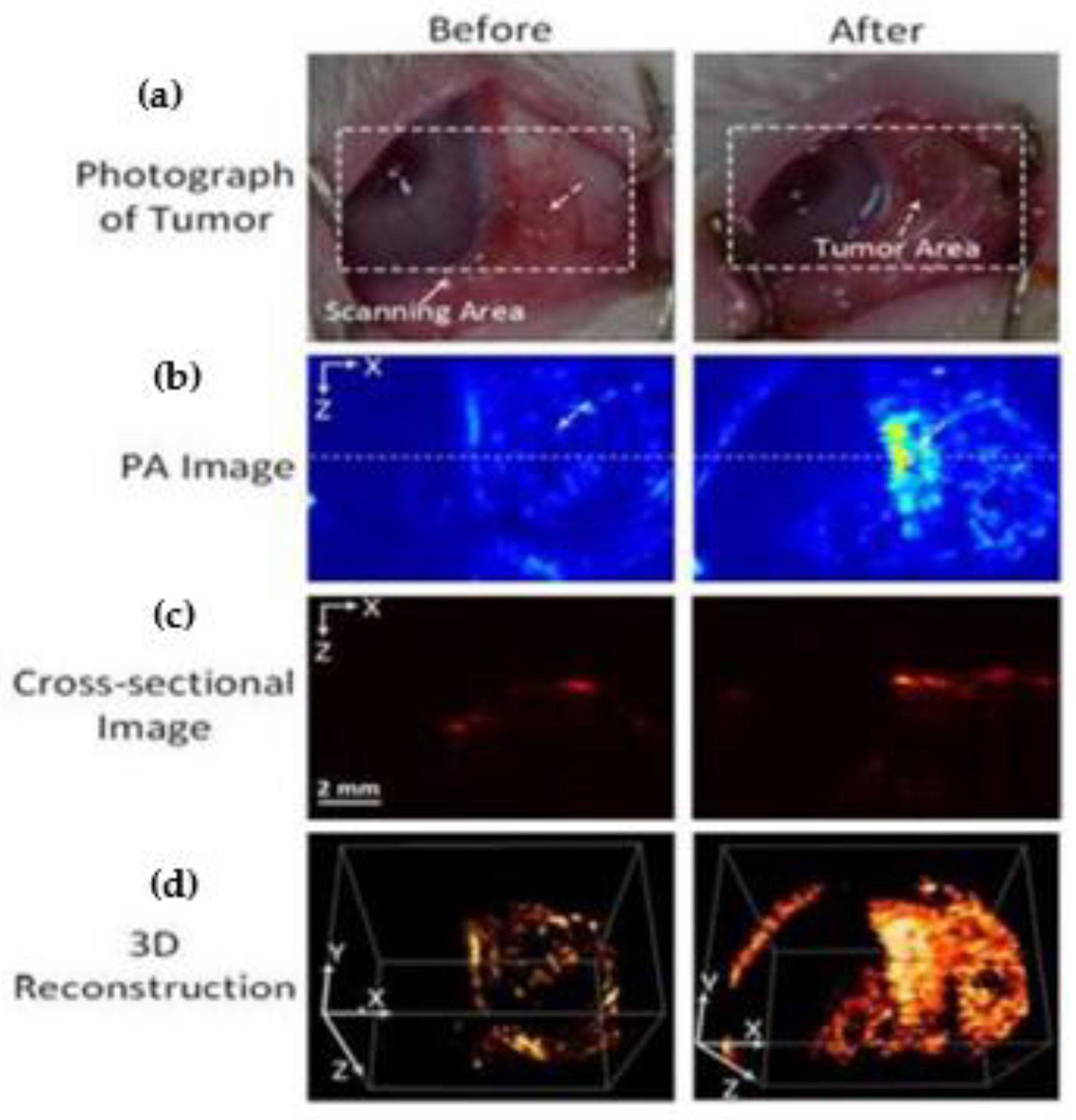 Optics 04 00007 g008