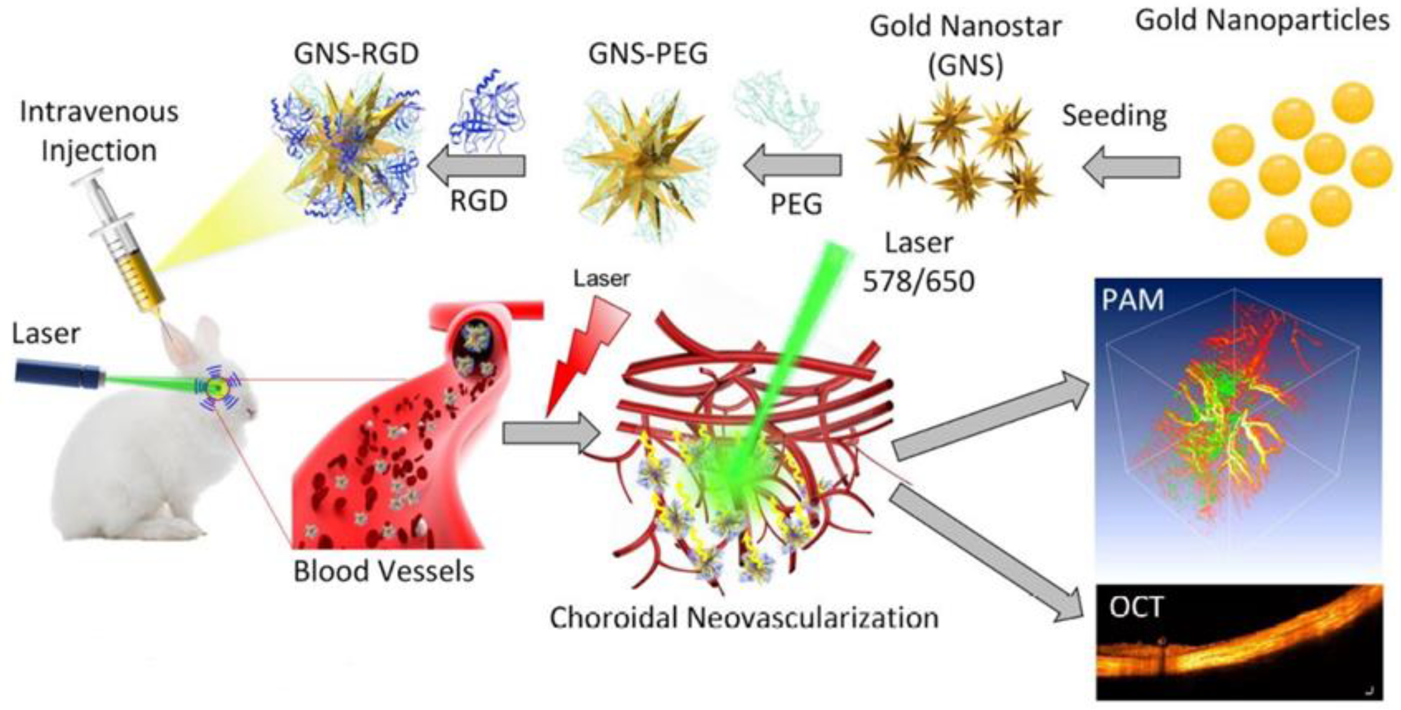 Optics 04 00007 g009
