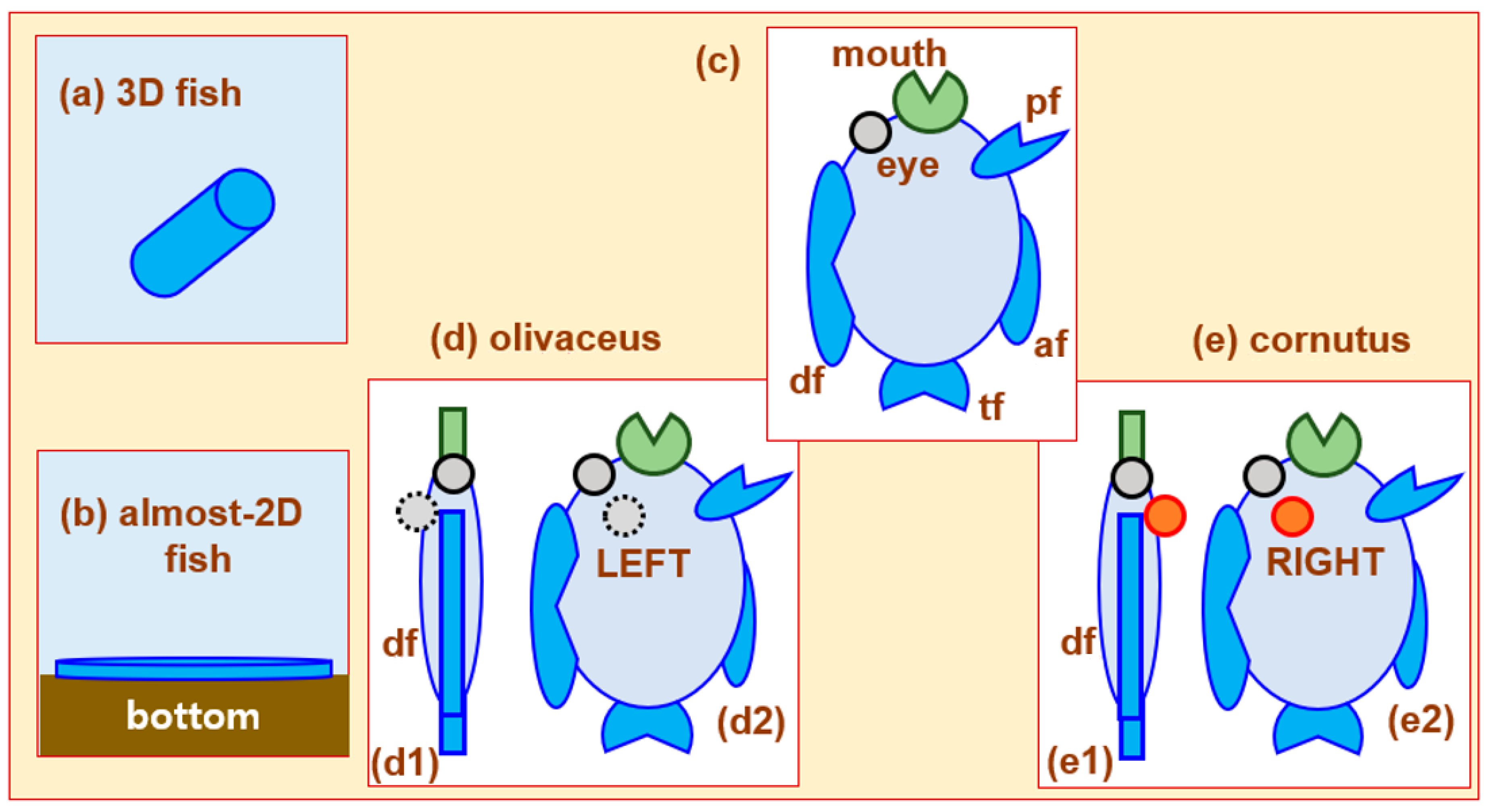 Optics 04 00030 g006 Optics 04 00030 g006