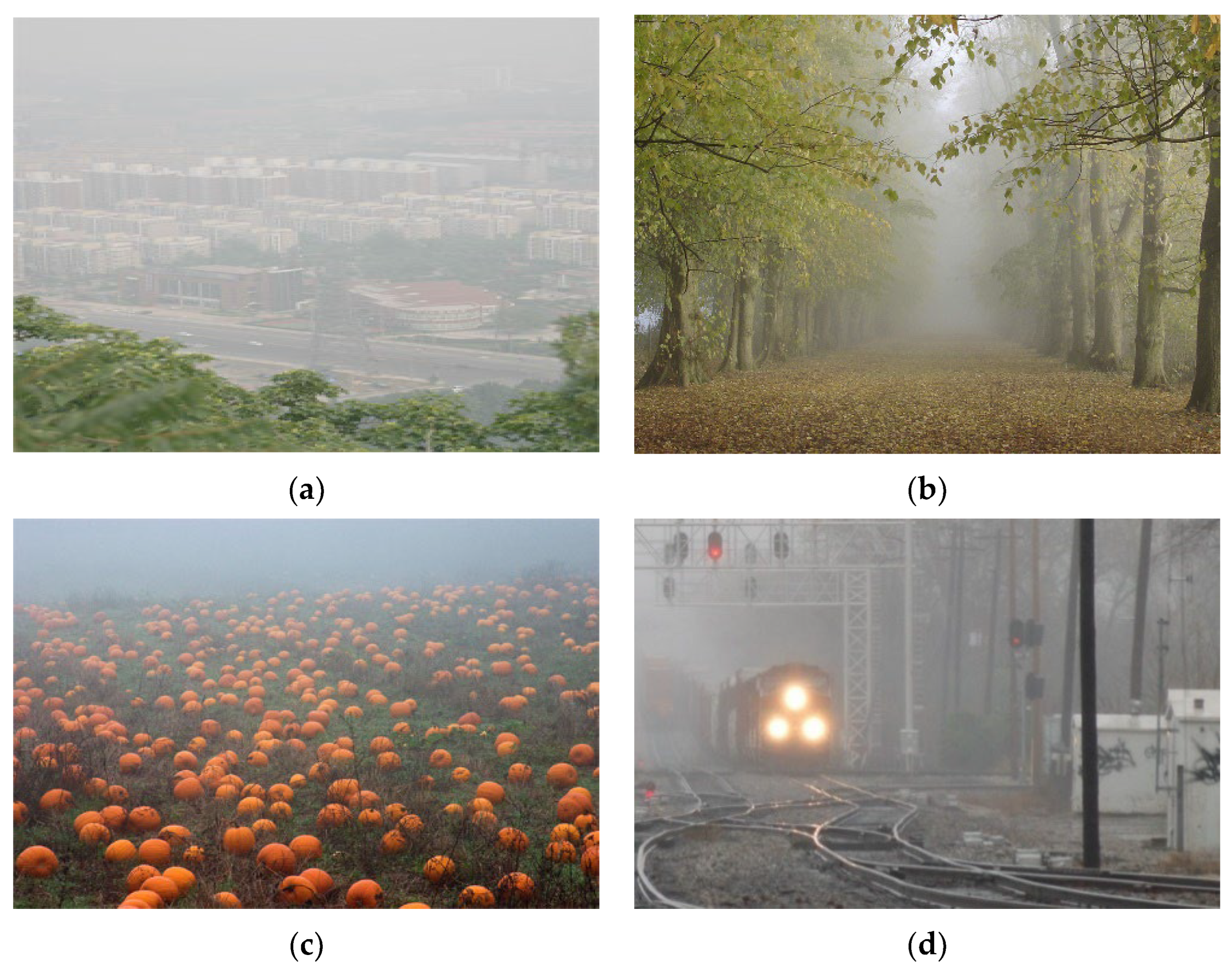 Optics 04 00038 g009