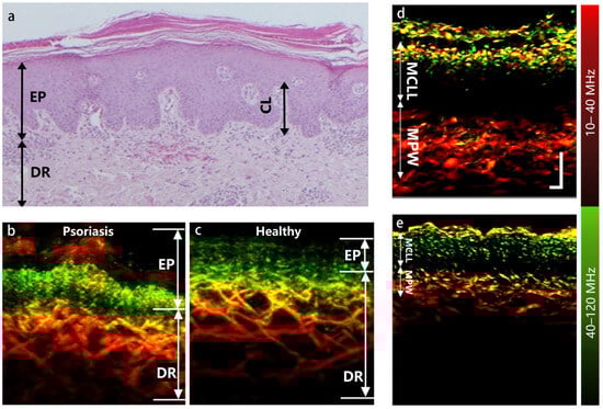 Optics 05 00010 g004