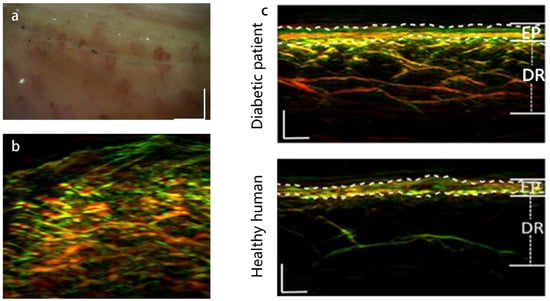 Optics 05 00010 g005