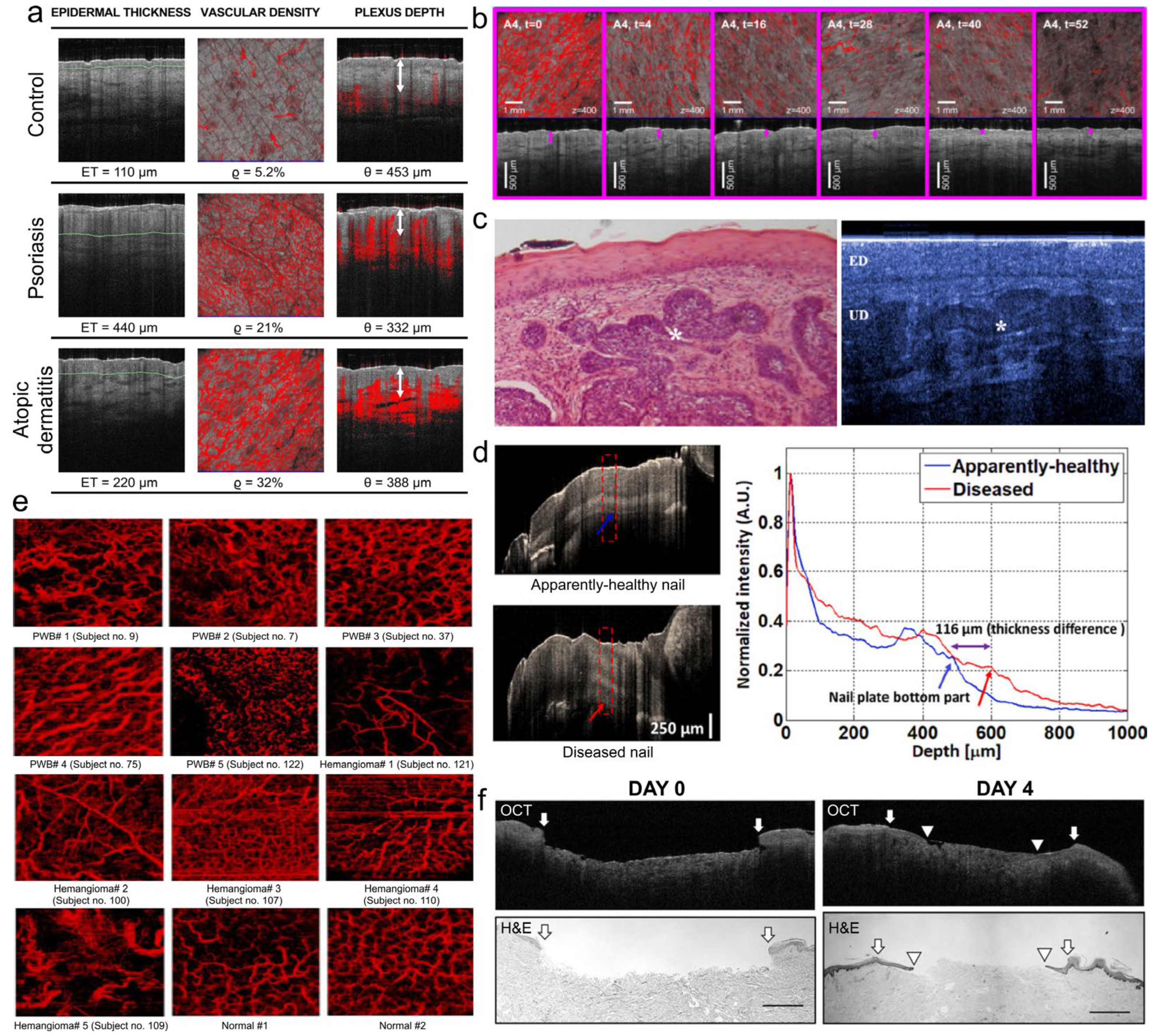 Optics 05 00018 g001