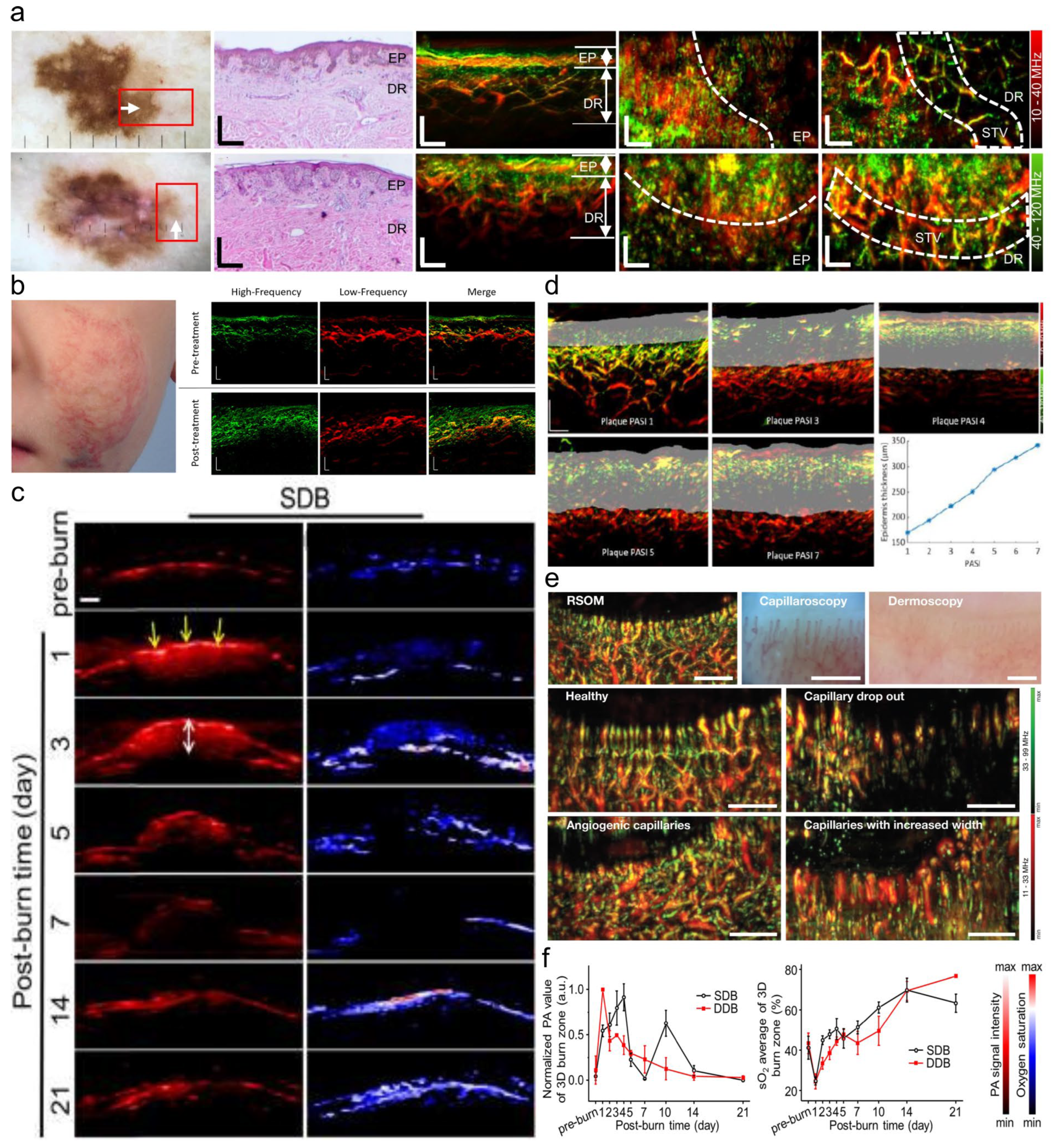 Optics 05 00018 g002