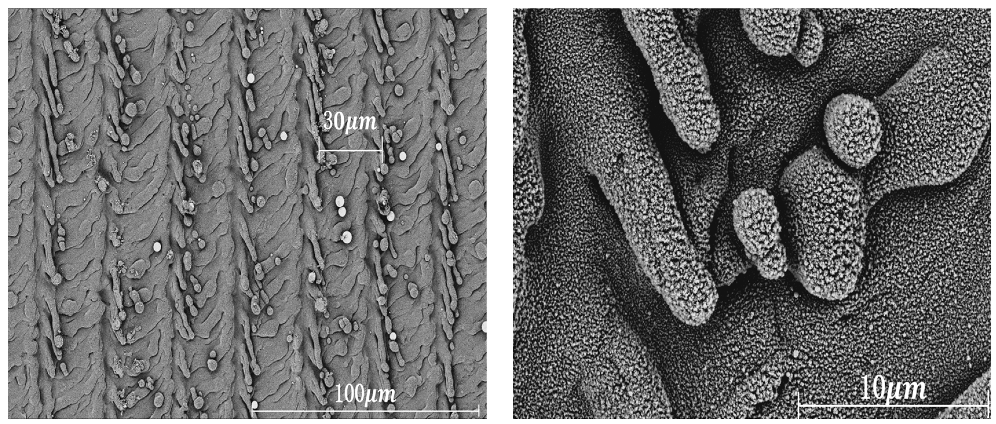 Optics 05 00037 g013
