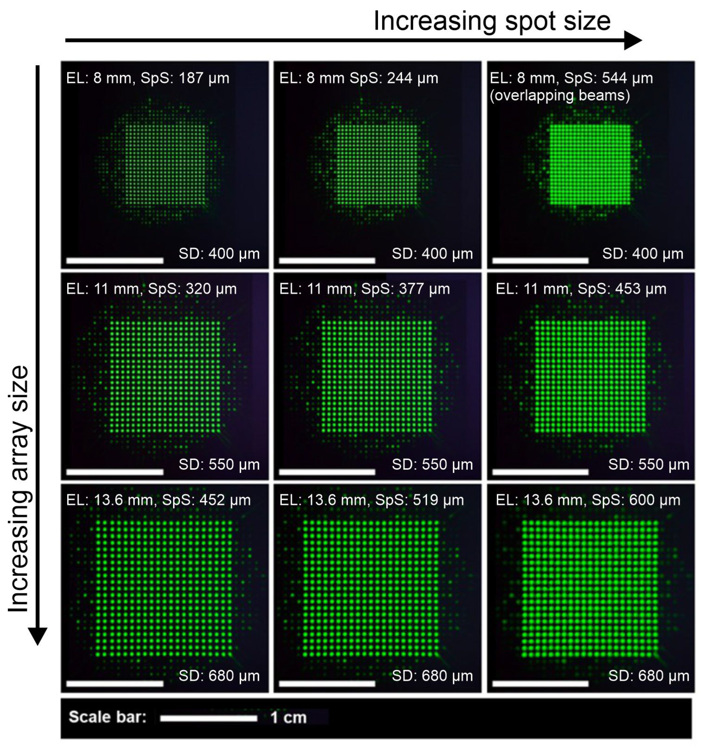 Optics 06 00010 g003
