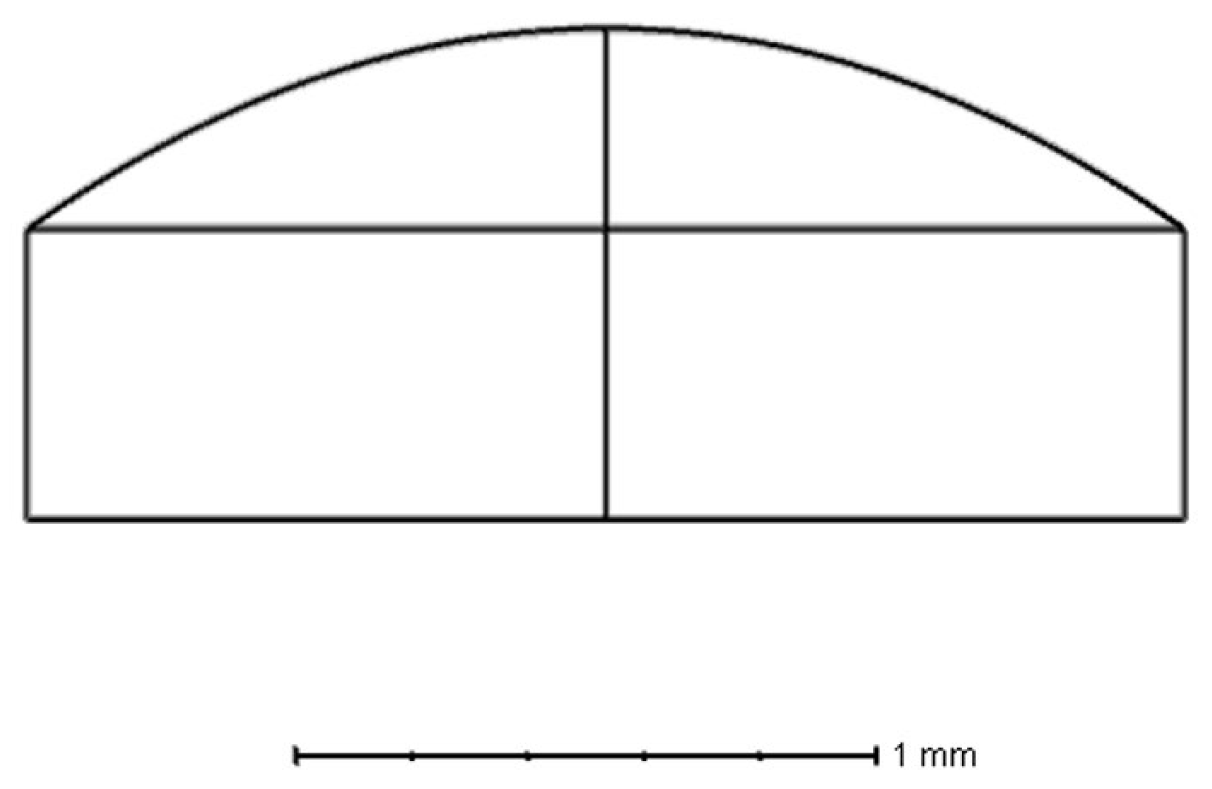 Optics 06 00013 g010