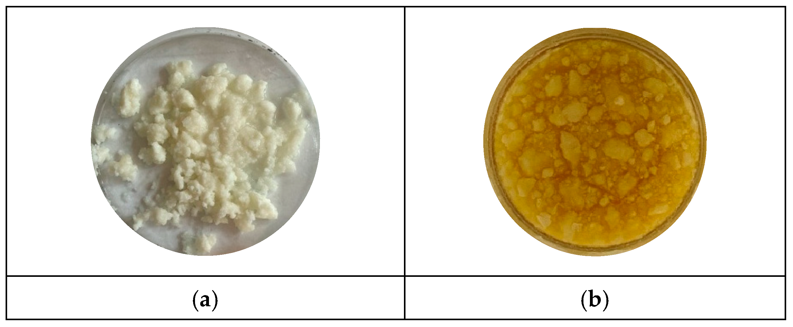 Optics 07 00019 g001