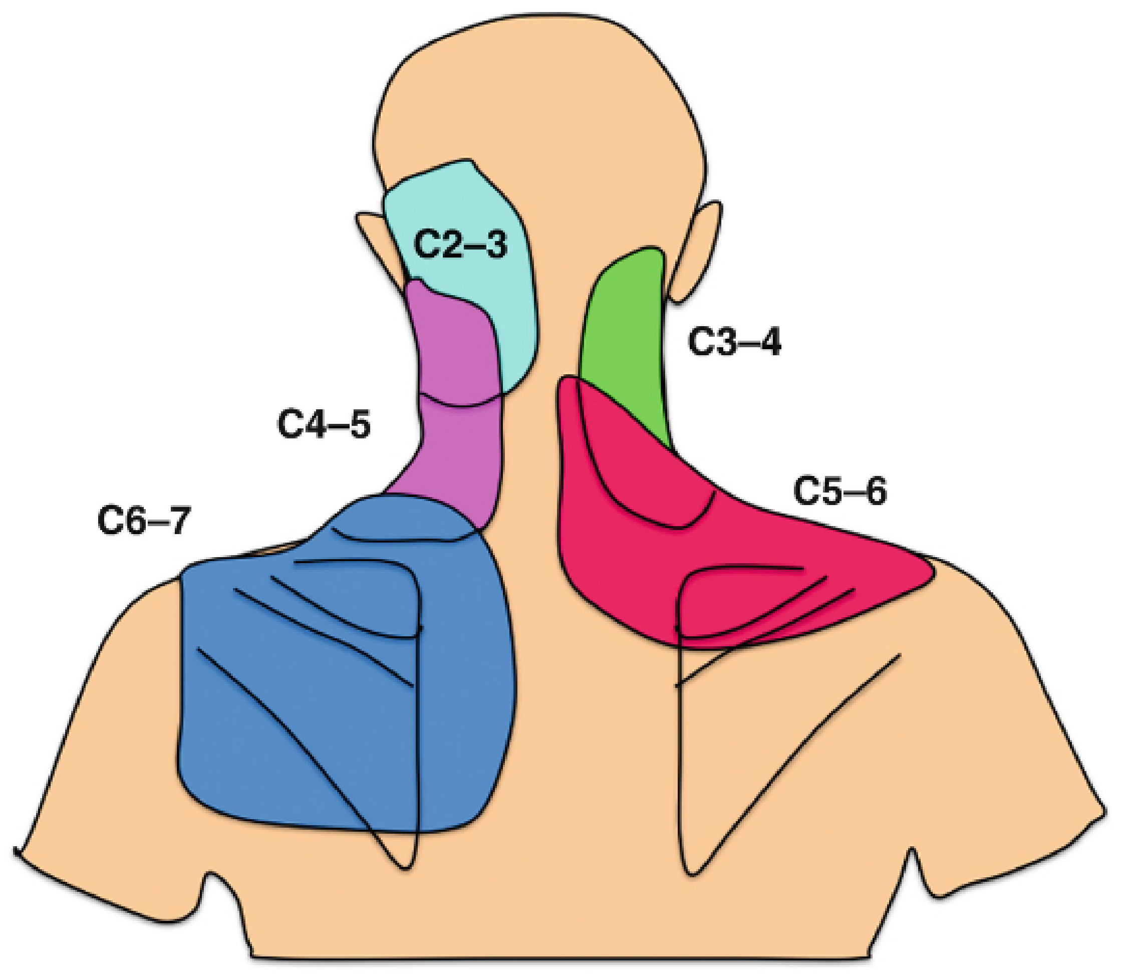 Oral 02 00027 g001 Oral 02 00027 g001