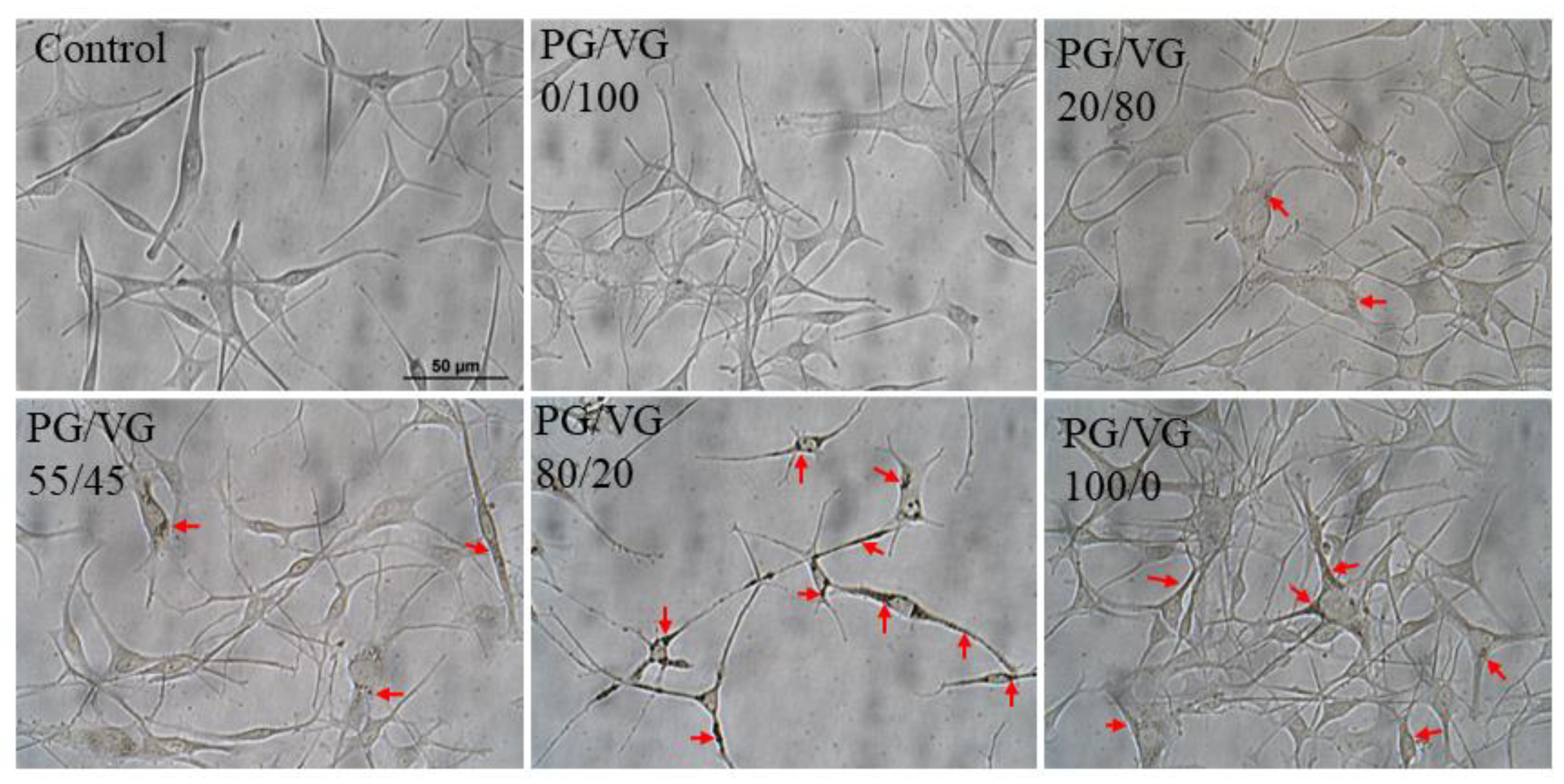Oral 03 00005 g004 Oral 03 00005 g004