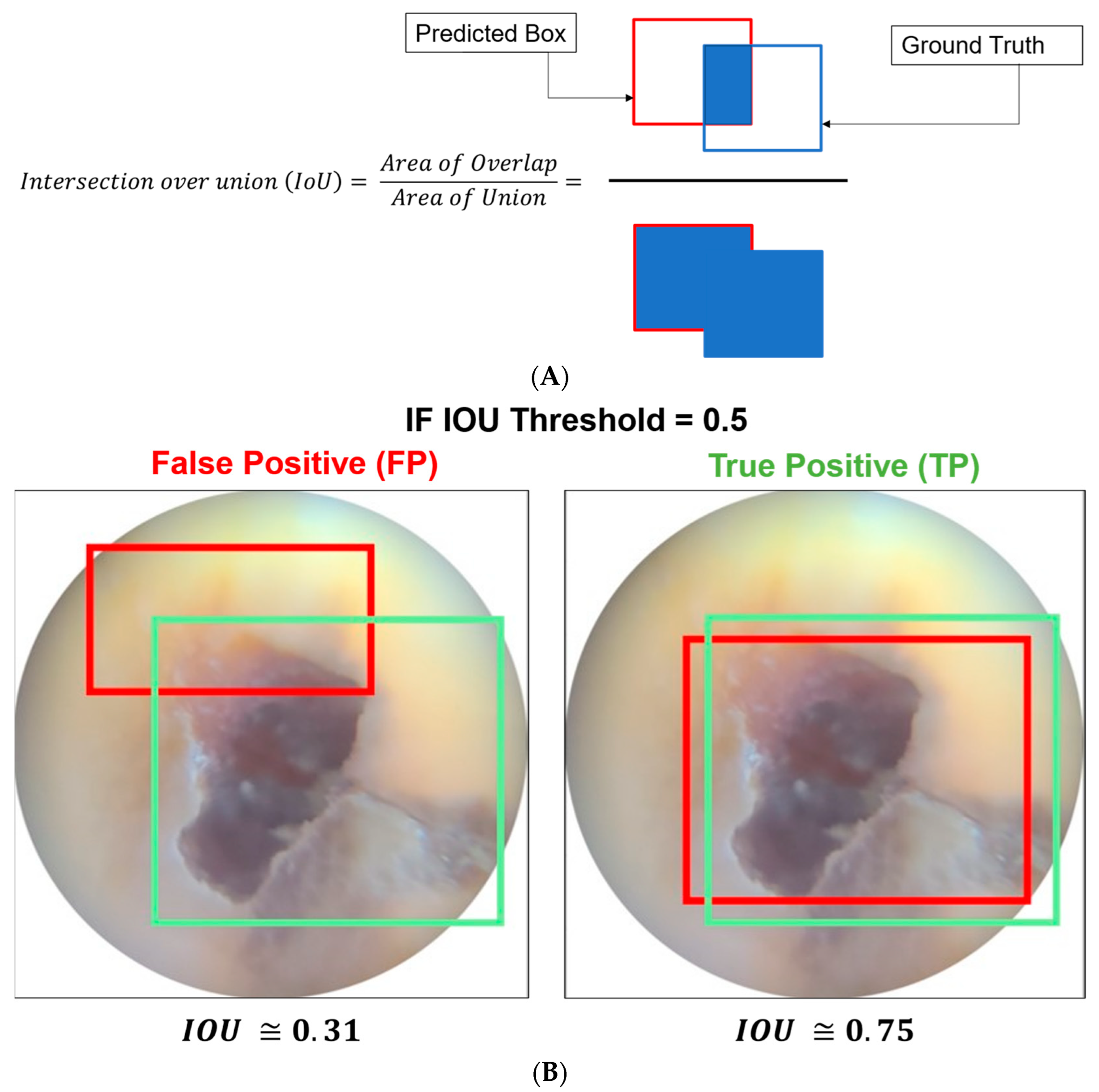 Oral 03 00016 g004 Oral 03 00016 g004