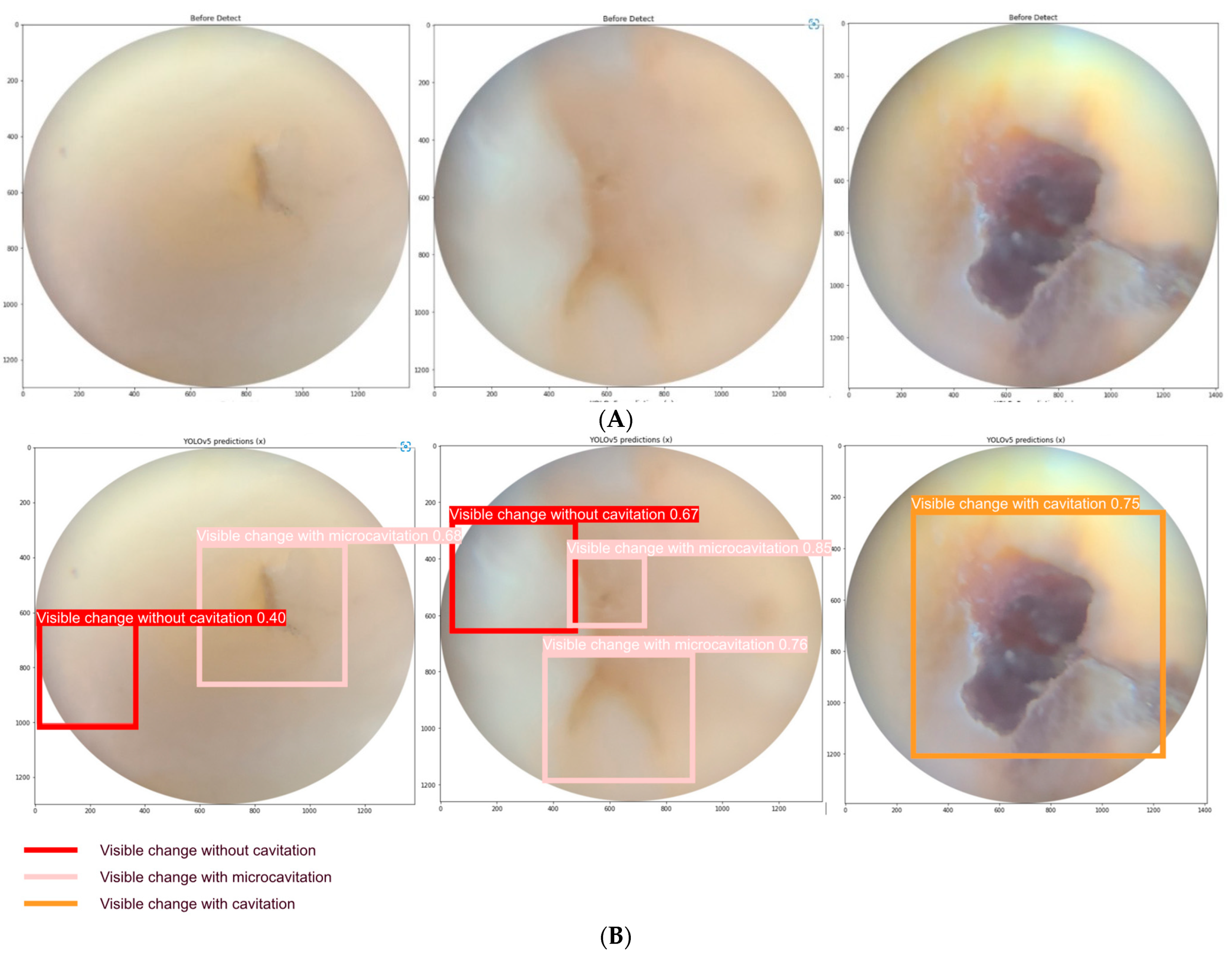 Oral 03 00016 g006 Oral 03 00016 g006
