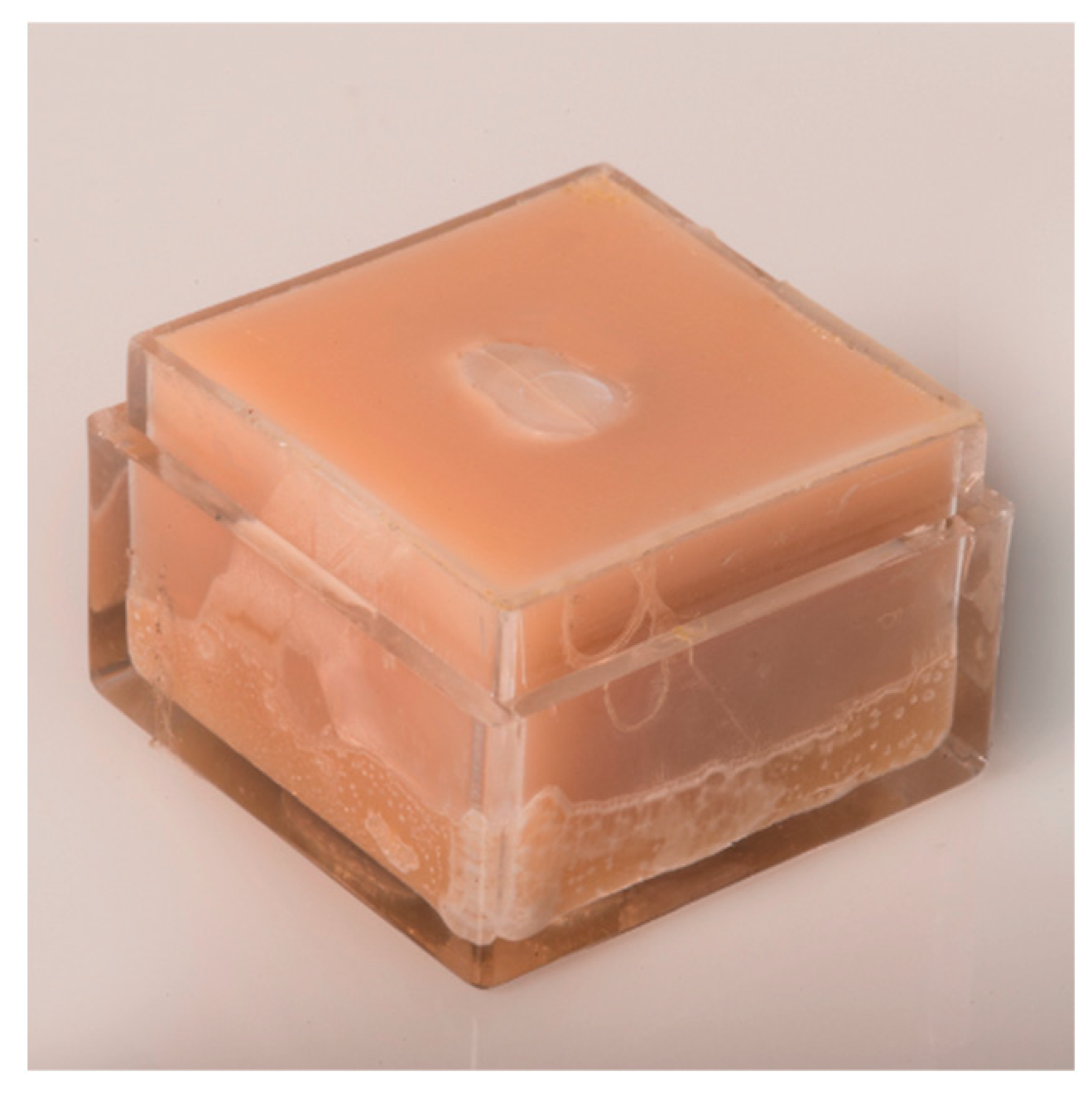 Oral 04 00009 g001 Oral 04 00009 g001