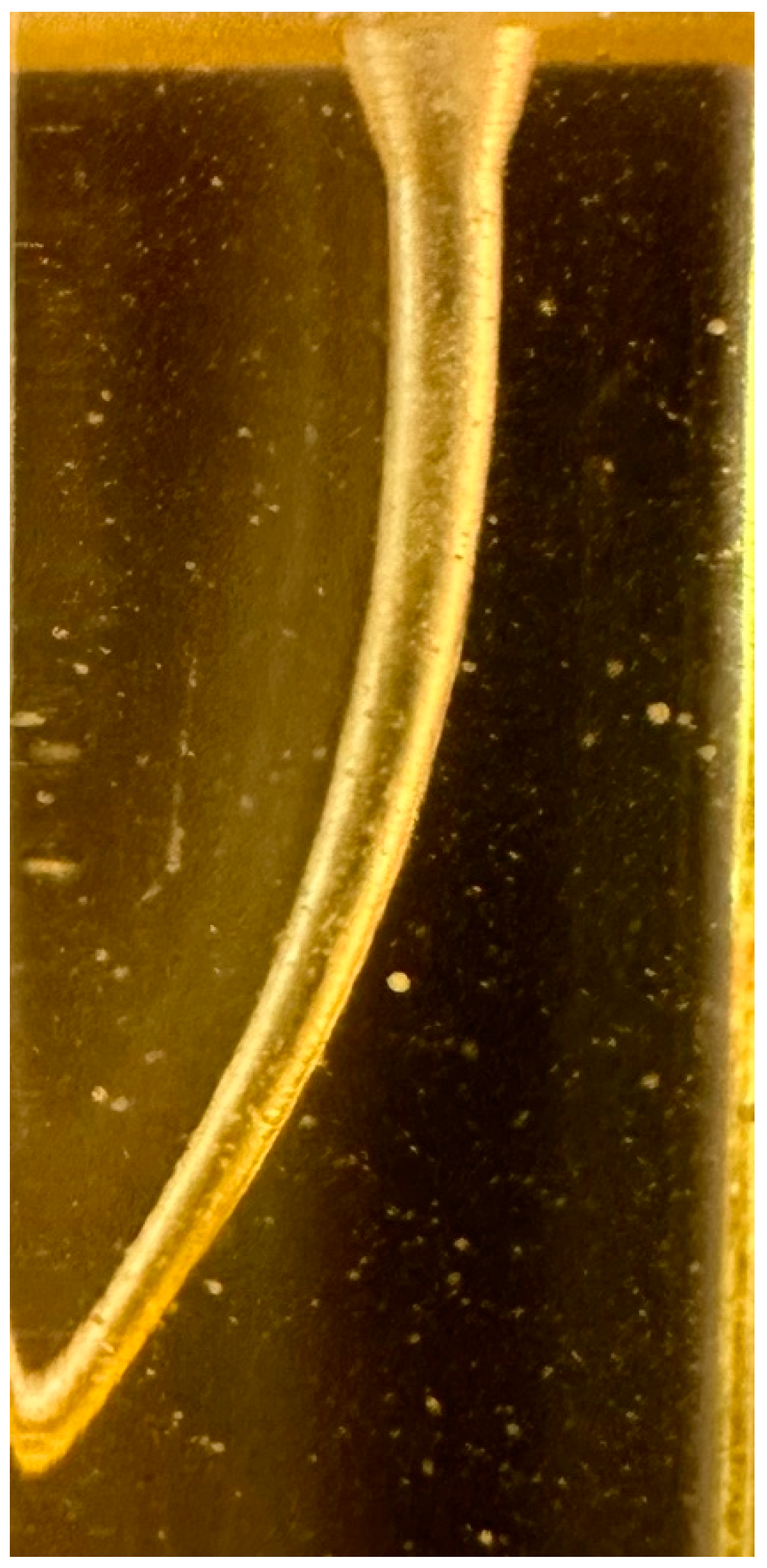 Oral 04 00013 g001 Oral 04 00013 g001